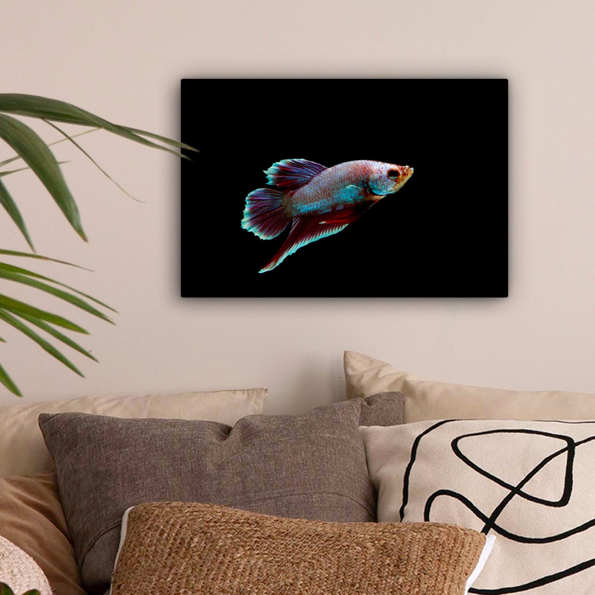 Tiere OneMillionCanvasses® (1 St), - Wandbild cm Leinwandbilder, Fische Aufhängefertig, Wanddeko, 30x20 Licht, - Leinwandbild