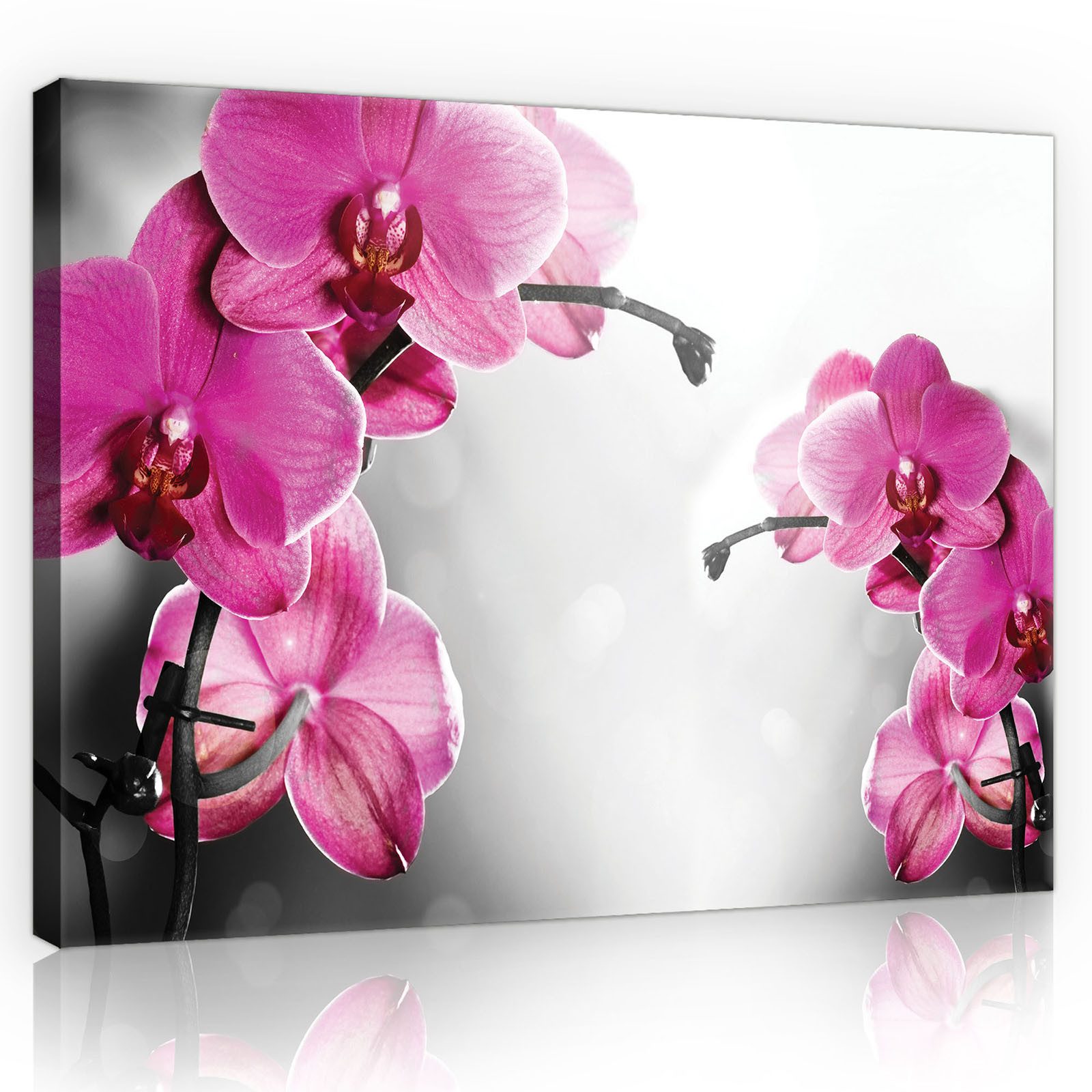 Wallarena Leinwandbild Blumen Schlafzimmer Bilder Wanddekoration günstig online kaufen