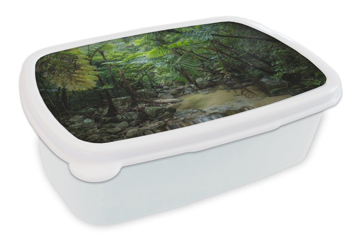 MuchoWow Lunchbox Fluss im tropischen Dschungel, Kunststoff, (2-tlg), Brotbox für Kinder und Erwachsene, Brotdose, für Jungs und Mädchen weiß