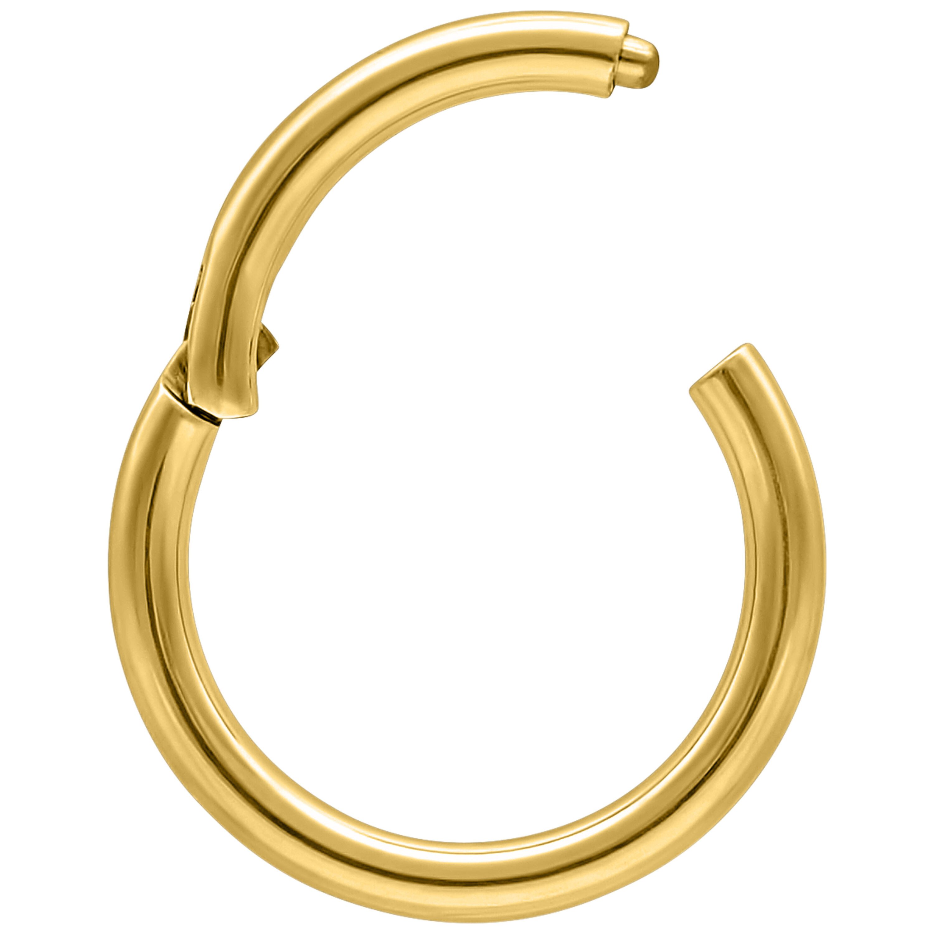 Wildcat Nasenpiercing Hinged Ring - 1.2 mm, 11.0 mm, Golden Metal, Titan Gr günstig online kaufen