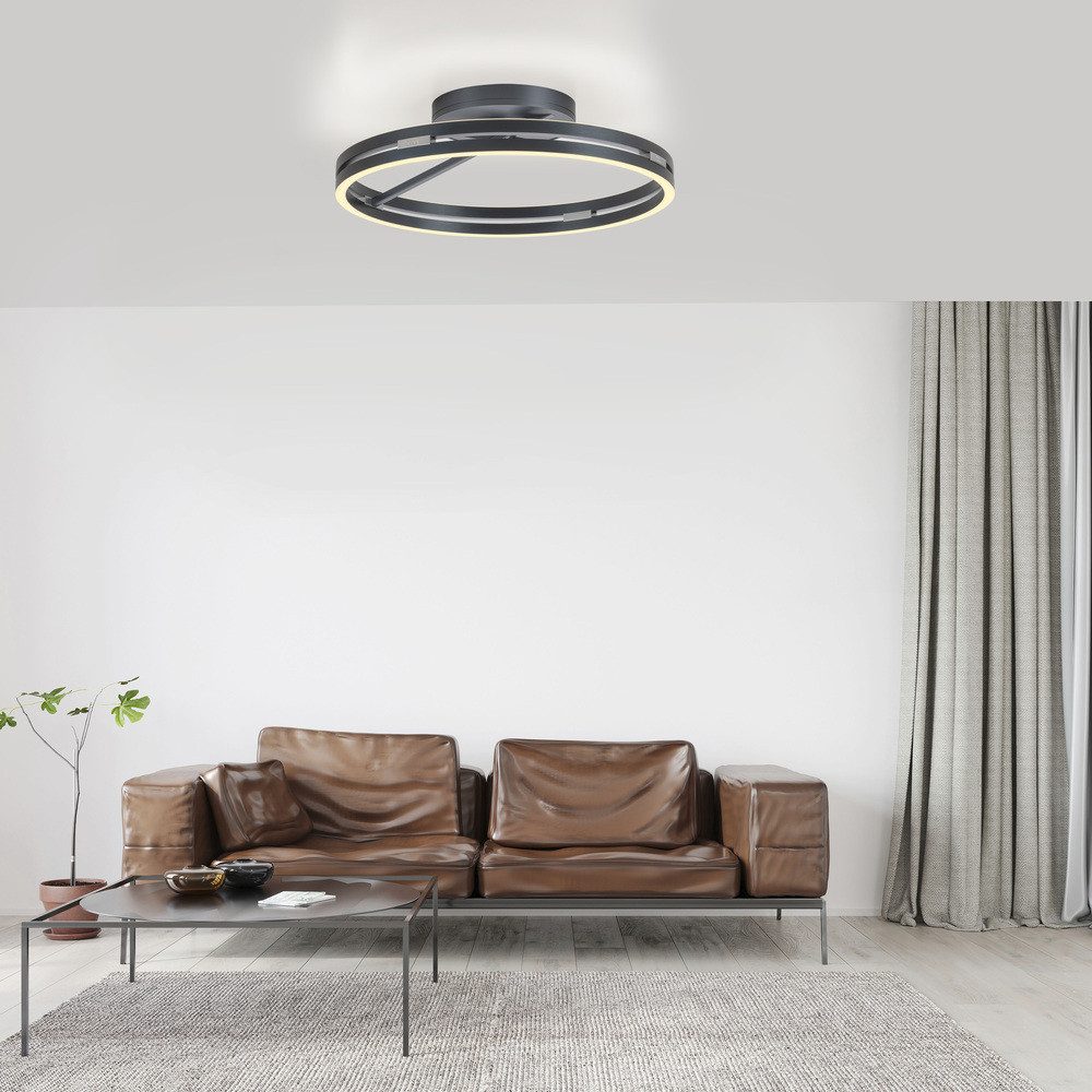 Paul Neuhaus LED Deckenleuchte LED Deckenlampe günstig online kaufen