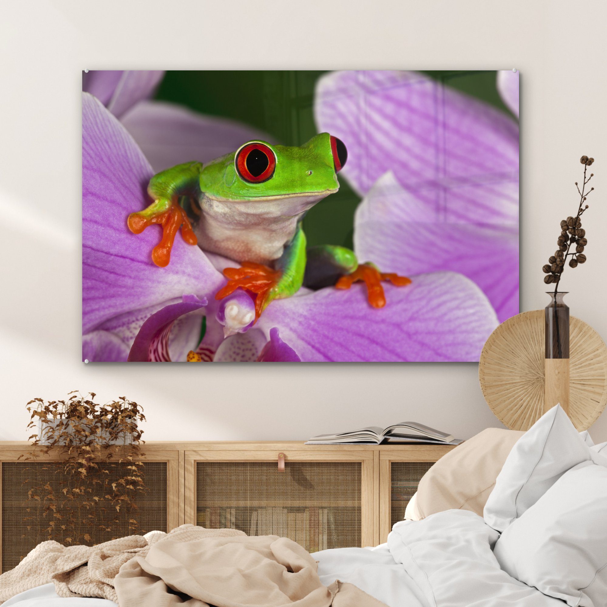 MuchoWow Acrylglasbild Frosch - Wohnzimmer St), Acrylglasbilder Reptil, Schlafzimmer - Orchidee & (1