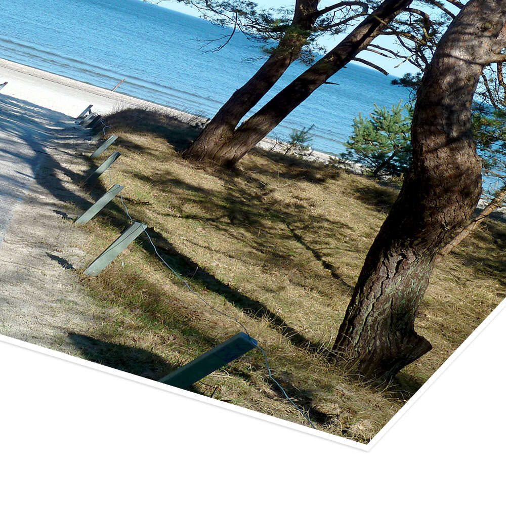 Posterlounge Wandbild Am Ostseestrand auf Rügen, Andrea Potratz, erhältlich als Poster, Leinwandbild, Wandsticker oder Acrylglasbild