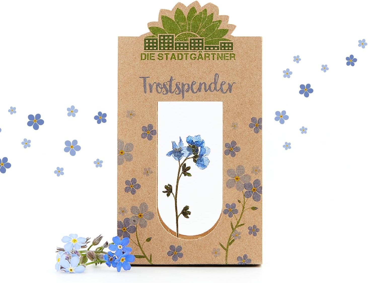 Trockenblume Natürliche Geschenke für alle Gefühle: günstig online kaufen