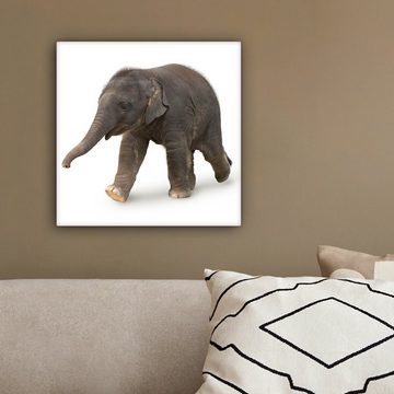 OneMillionCanvasses® Leinwandbild Kleiner Elefant auf weißem Hintergrund, (1 St), Leinwand Bilder für Wohnzimmer Schlafzimmer, 20x20 cm