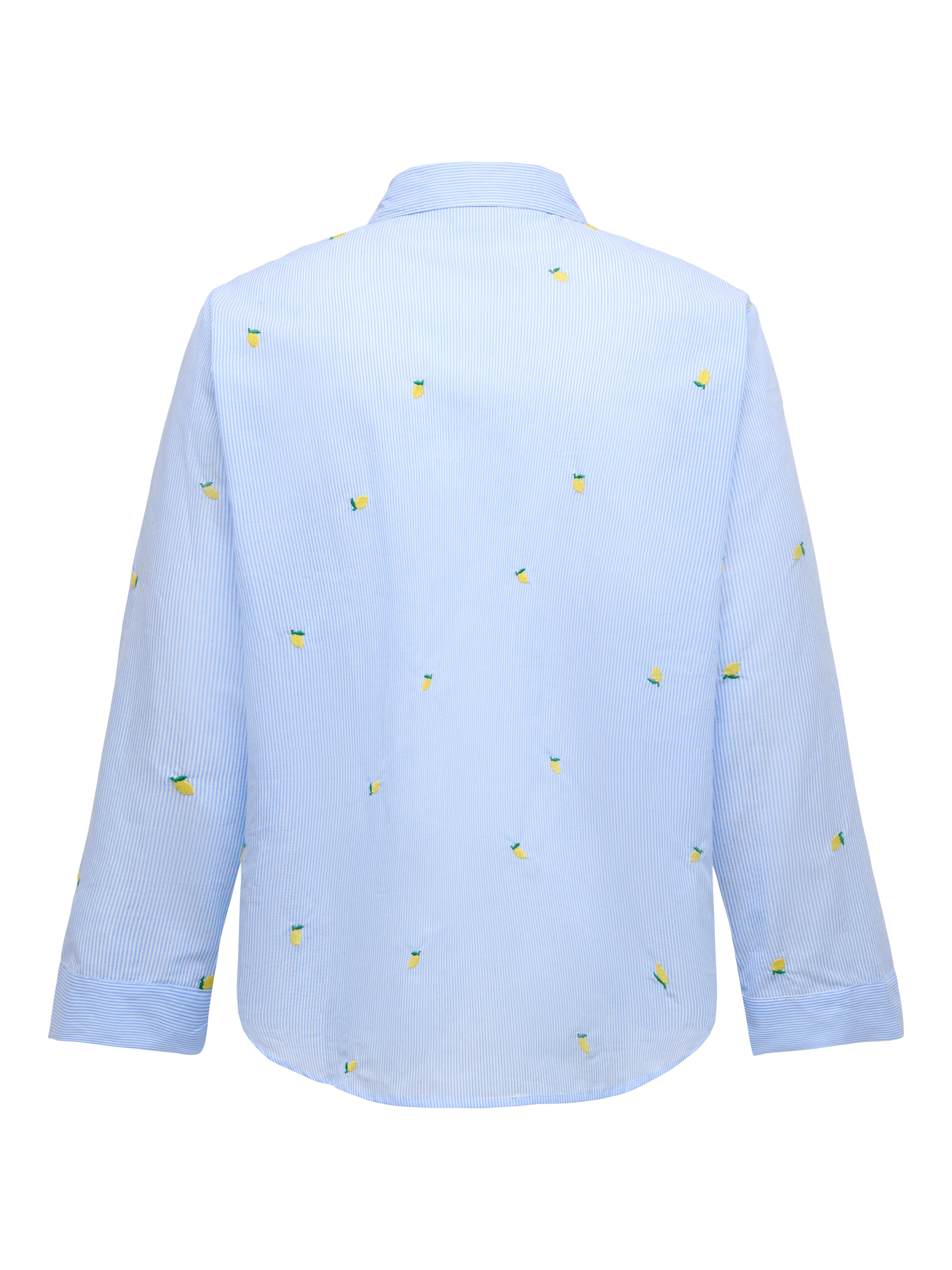 ONLY CARMAKOMA Langarmbluse CARNEW LINA GRACE LS EMB SHIRT WVN