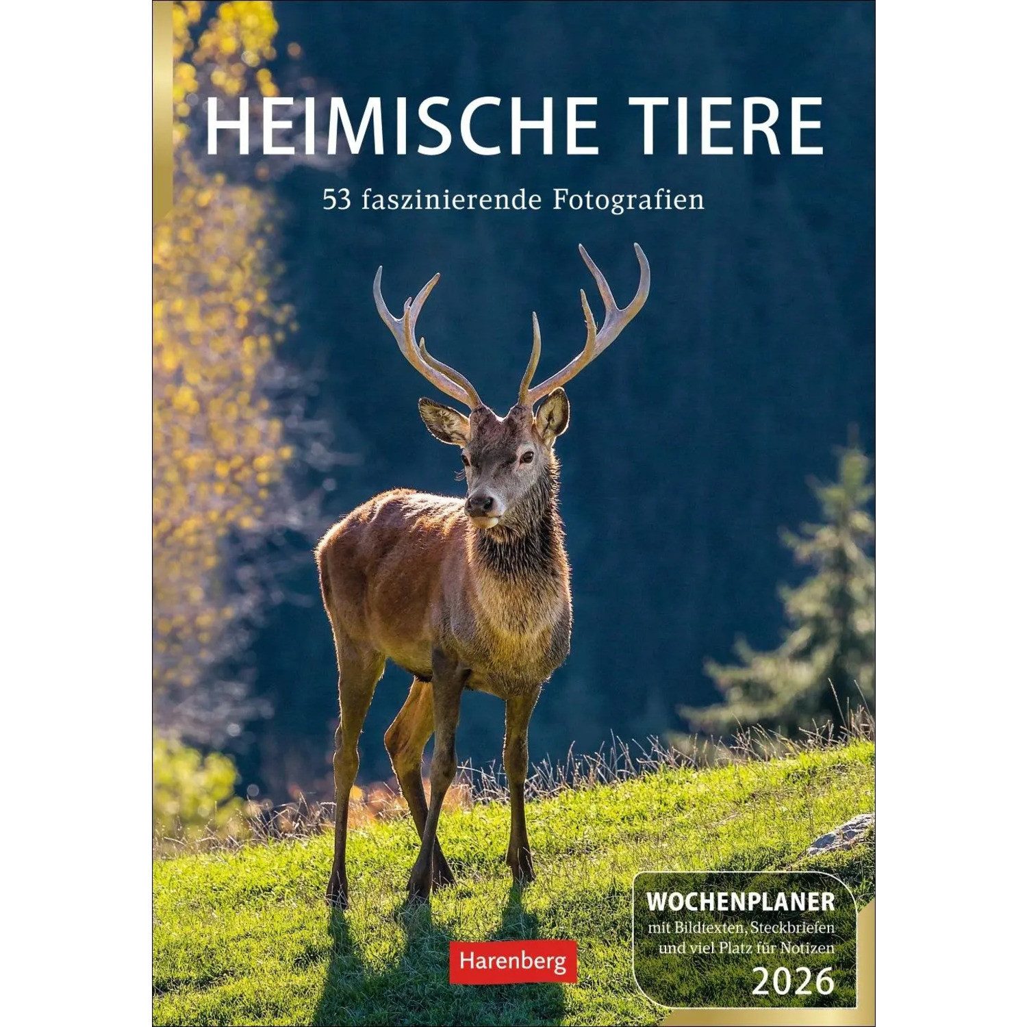 Harenberg Kalender Verlag Wandkalender Heimische Tiere Wochenplaner 2026 - 53 faszinierende Fotografien