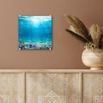 MuchoWow Acrylglasbild Unterwasserwelt - Meerestiere - Wasser - Korallen - Blau, (1 St), Glasbilder - Bilder auf Glas Wandbild - Foto auf Glas - Wanddekoration