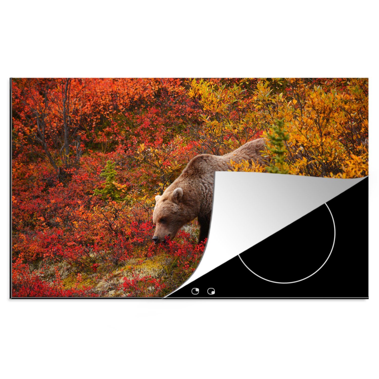 MuchoWow Herdblende-/Abdeckplatte Grizzlybär zeigt seine bunten Blätter im Denali-Nationalpark in Alaska, Vinyl, (1 tlg), 81x52 cm, Induktionskochfeld Schutz für die küche, Ceranfeldabdeckung