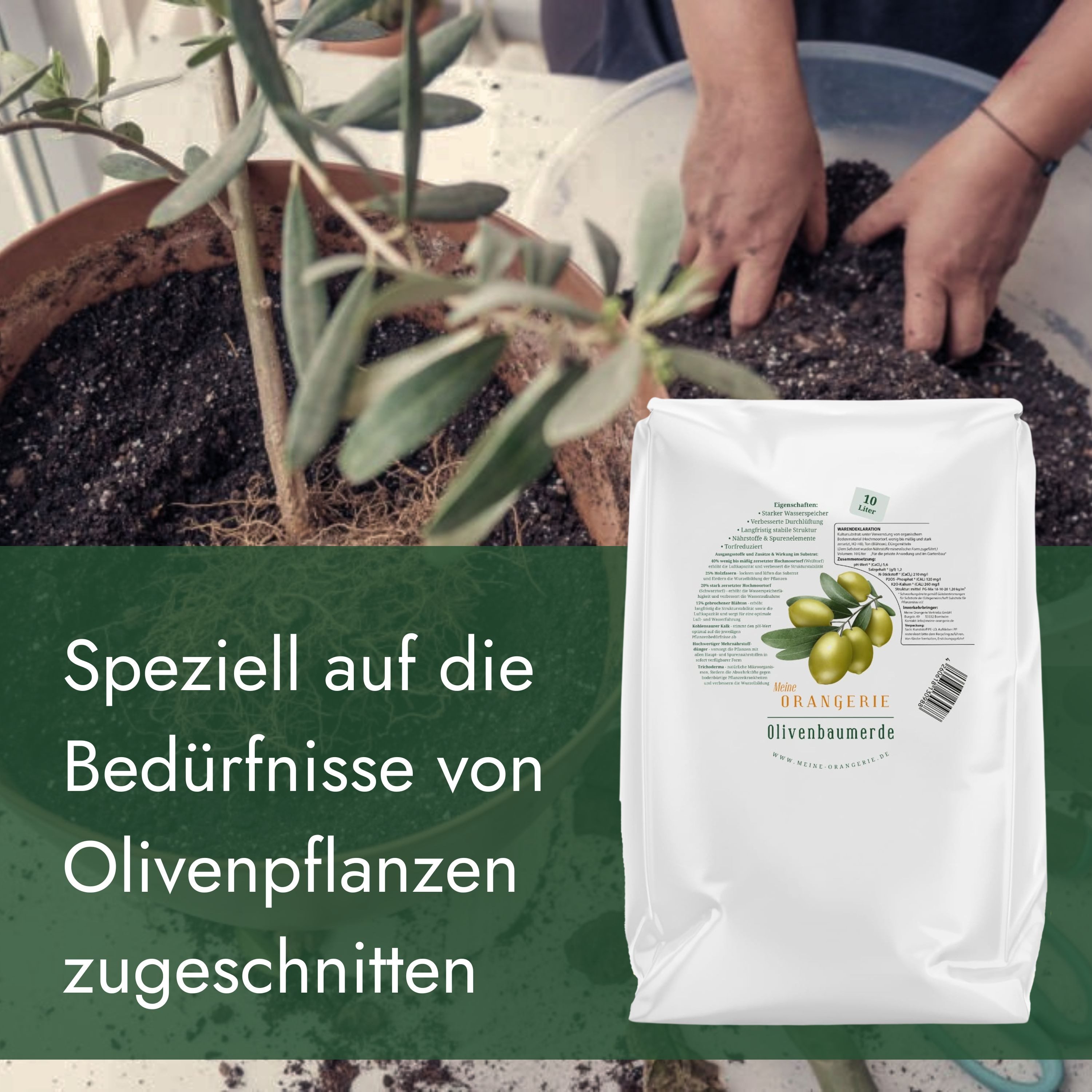 Meine Orangerie Spezialerde Olivenbaum Erde, mit hochwertigem Mehrnährstoffdünger, (Spezialsubstrat für mediterrane Kübelpflanzen und Gehölze), 10 Liter