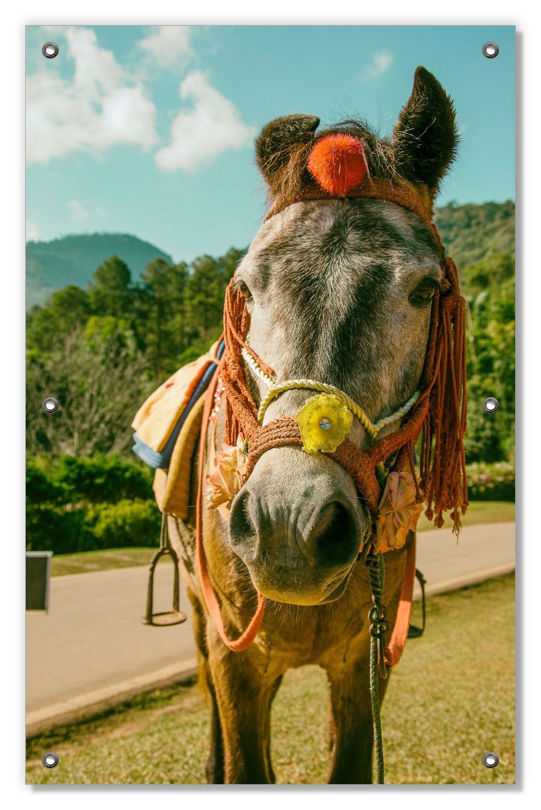Sonnenschutz Klassisch geschmücktes Pony, Wallario, blickdicht, mit Saugnäpfen, wiederablösbar und wiederverwendbar