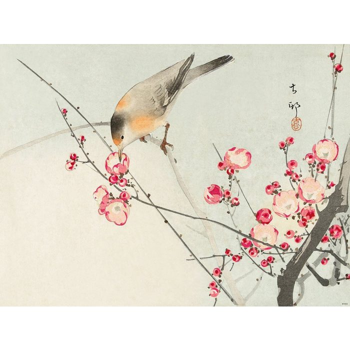 Close Up Kunstdruck Songbird On Blossom Branch Kunstdruck Ohara Koson 80 x 60 cm