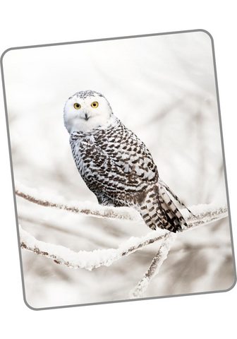 GOOD MORNING Плед »Snowy Owl«
