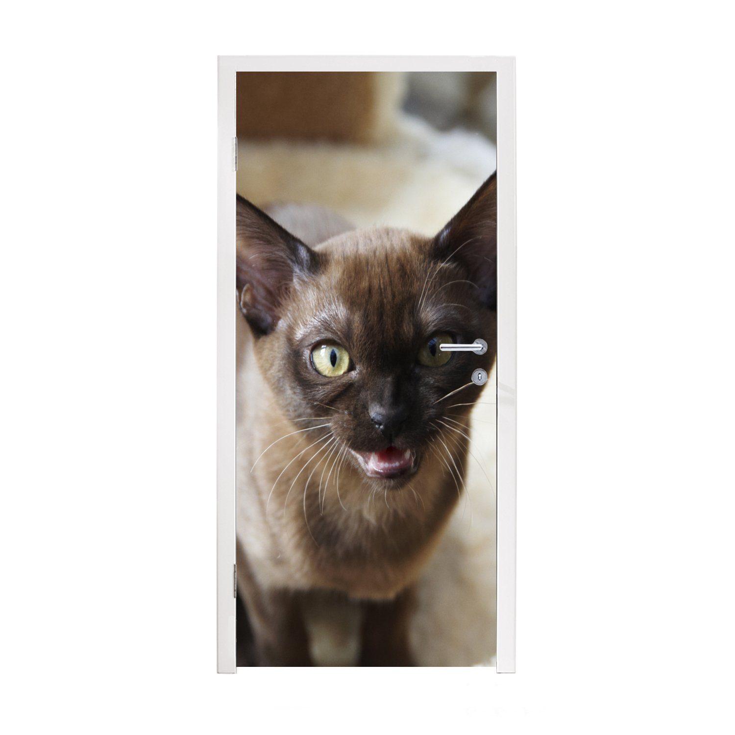 MuchoWow Türtapete Niedliche kleine burmesische Katze im Korb, Matt, bedruckt, (1 St), Fototapete für Tür, Türaufkleber, 75x205 cm