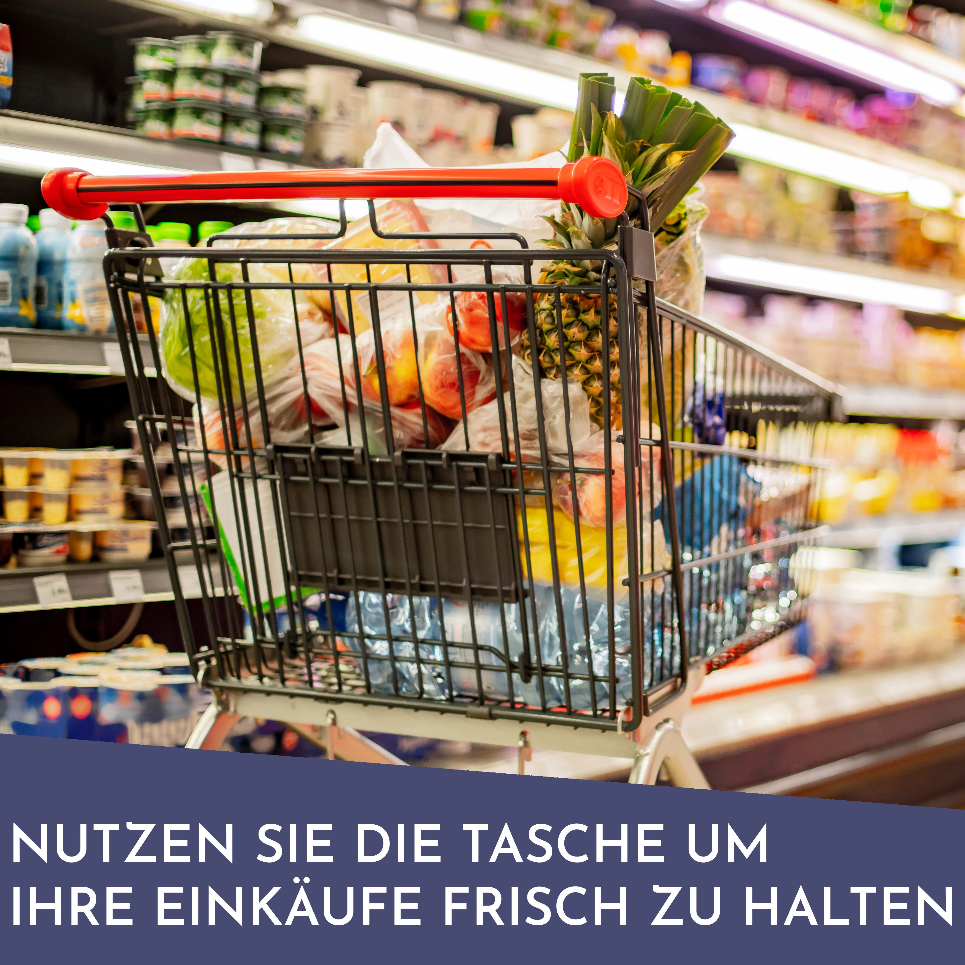 Vaily Kühltasche 30L - Faltbare Thermotasche, für Auto, Strand und Reisen - Kühlbox für Lunch, Picknick und Camping