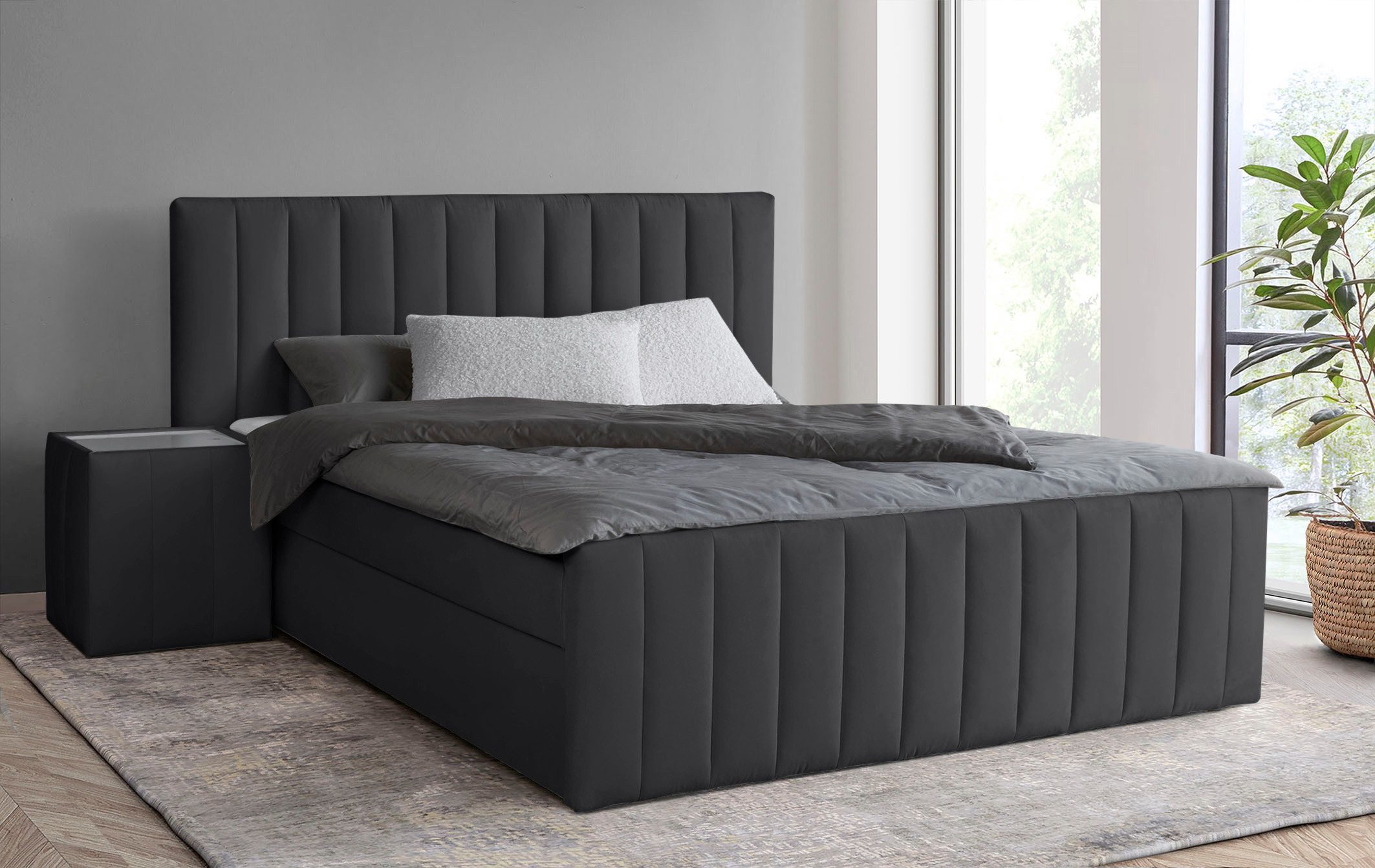 INOSIGN Boxbett Effy inkl. Bettkasten und günstig online kaufen