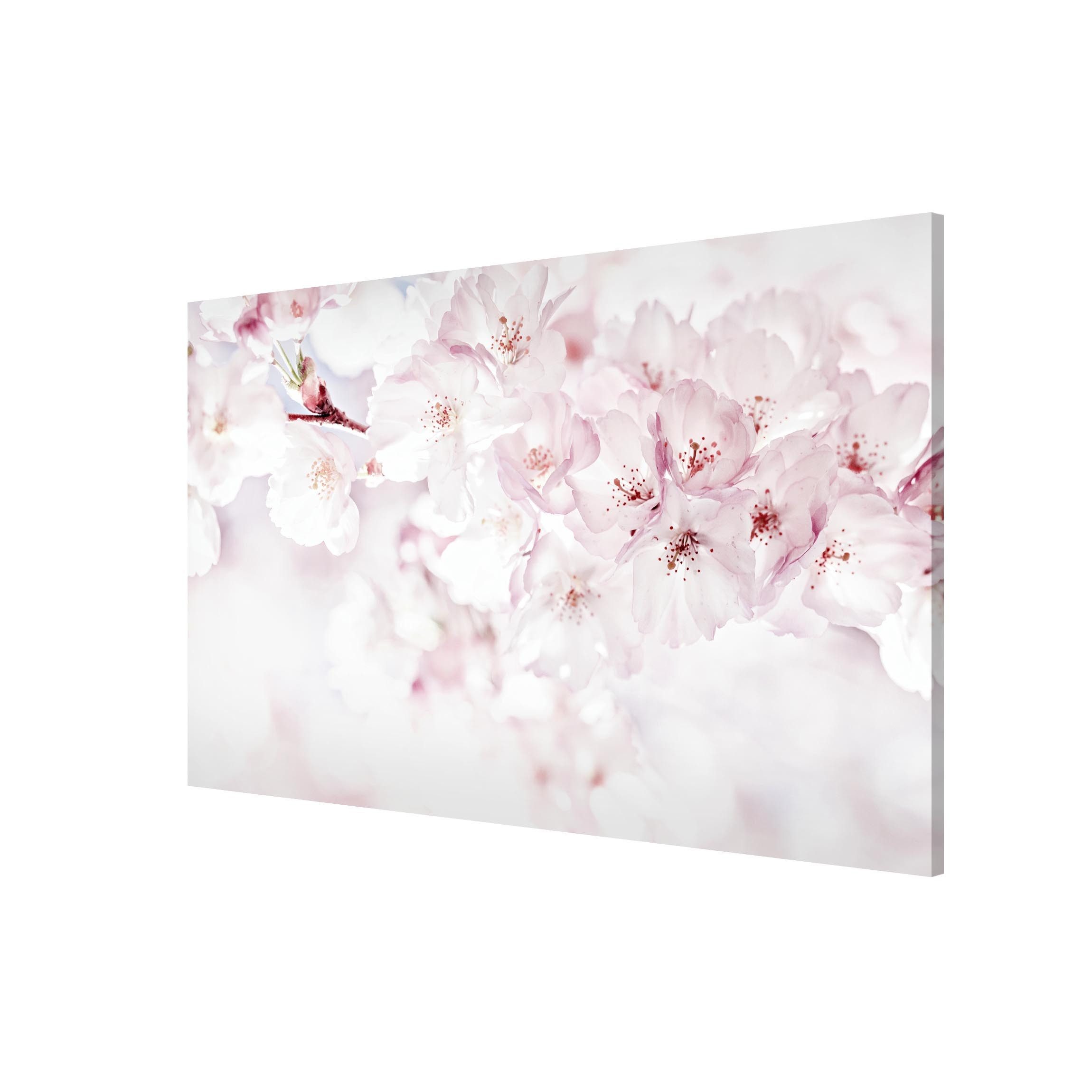 Bilderdepot24 Magnettafel Küche rosa Ein Kirschblütenhauch, (1-tlg., Magnetboard Pinnwand für die Wand - metallische Tafel für Magnete), Magnetwand groß mit Motiv Büro Memoboard magnetisch Querformat