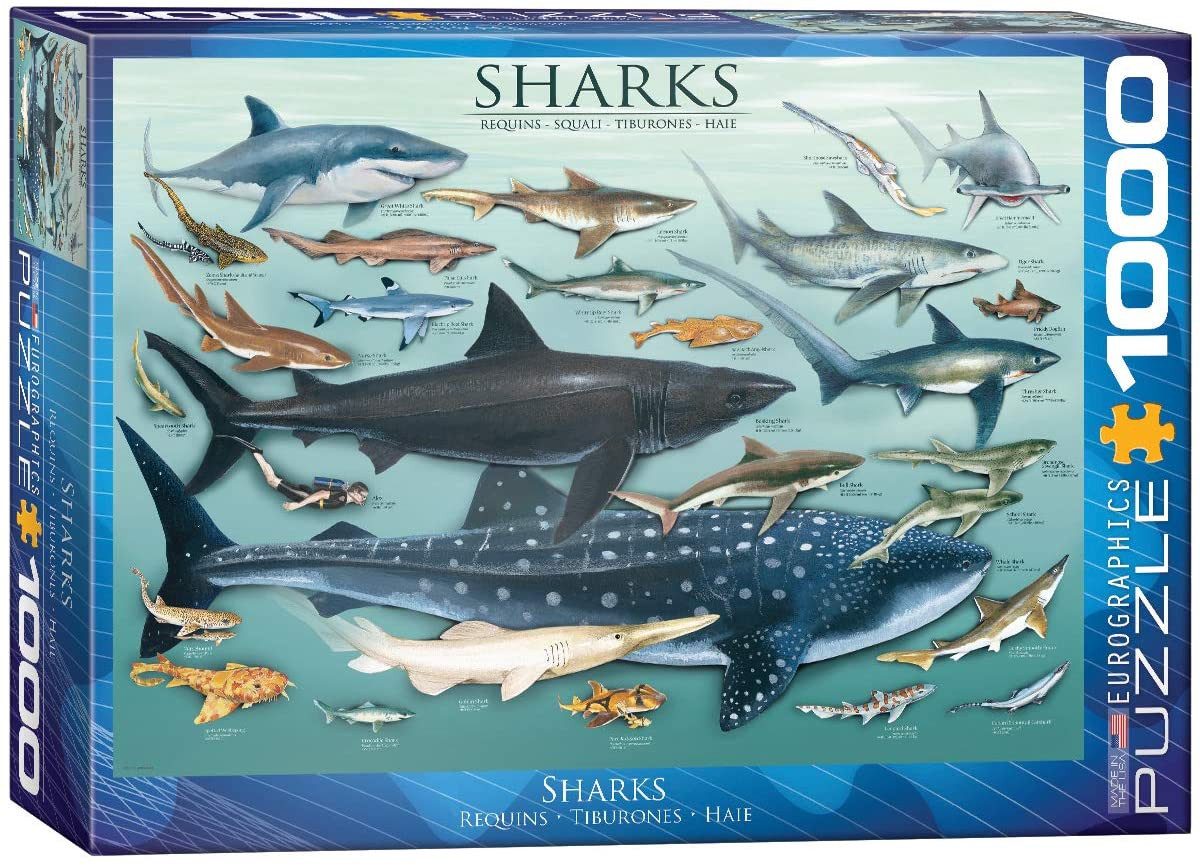 Puzzle 1000 Teile Puzzle - Puzzle - Haie der Ozeane, Puzzleteile