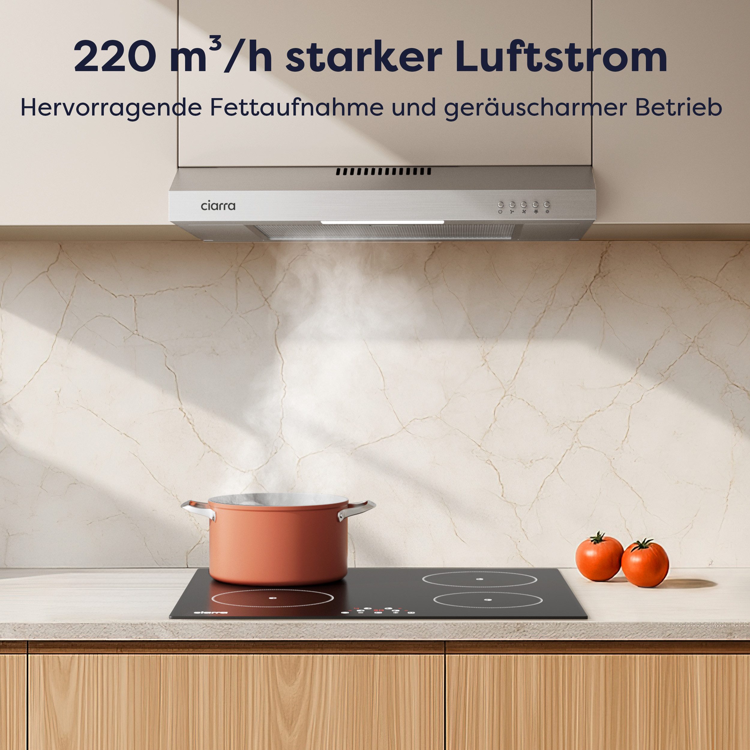 CIARRA Unterbauhaube 60 cm 220 m³/h Abluft & Umluft 3 Stufen LED leise CAS6903B 60 cm 220 m³/h Abluft & Umluft 3 Stufen LED leise CAS6903B, Unterbau-Dunstabzugshaube mit Aluminiumfilter & Kohlefilter Silber