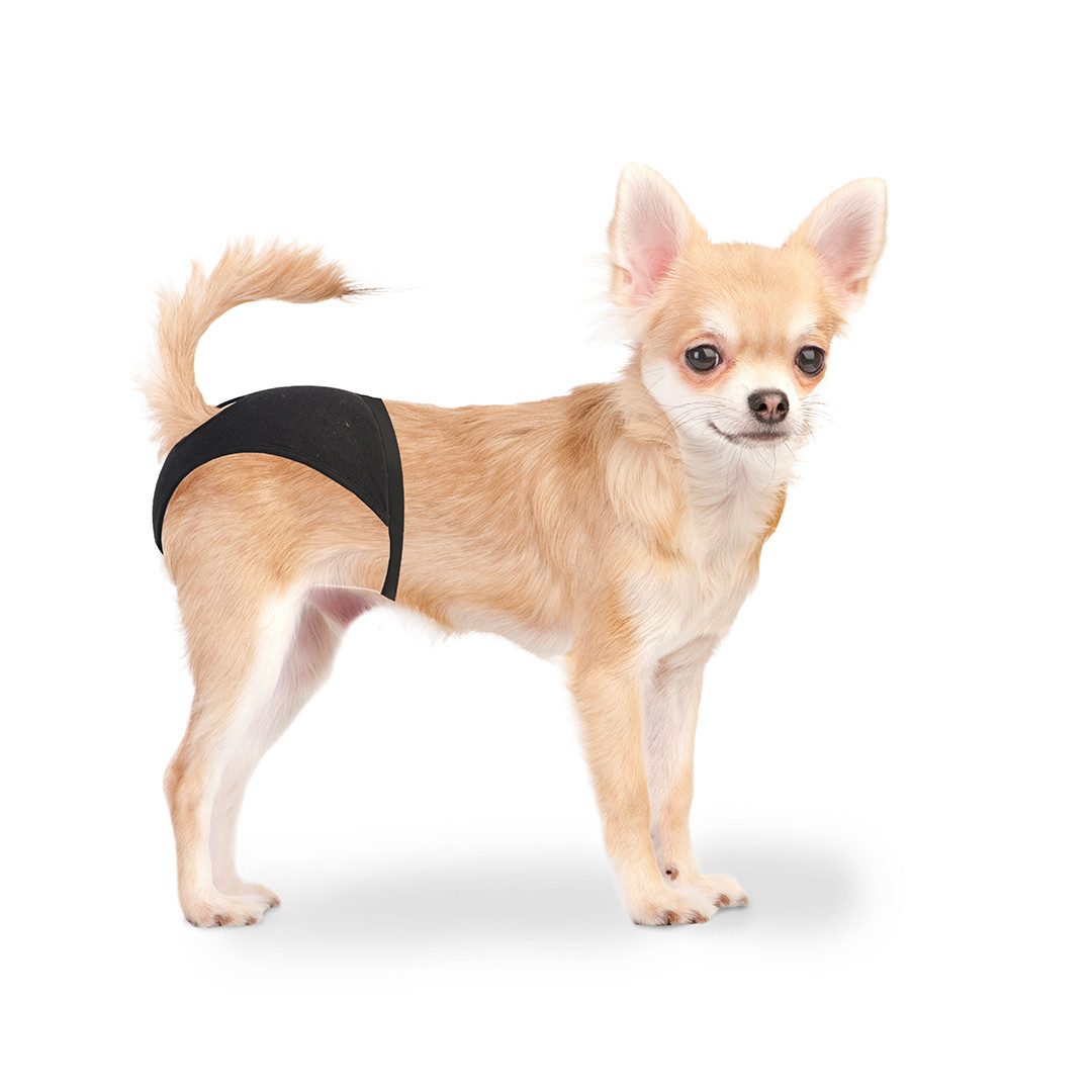 DUVO+ Hundetoilette Duvoplus Schutzhöschen - Schwarz Umfang: 18-23cm