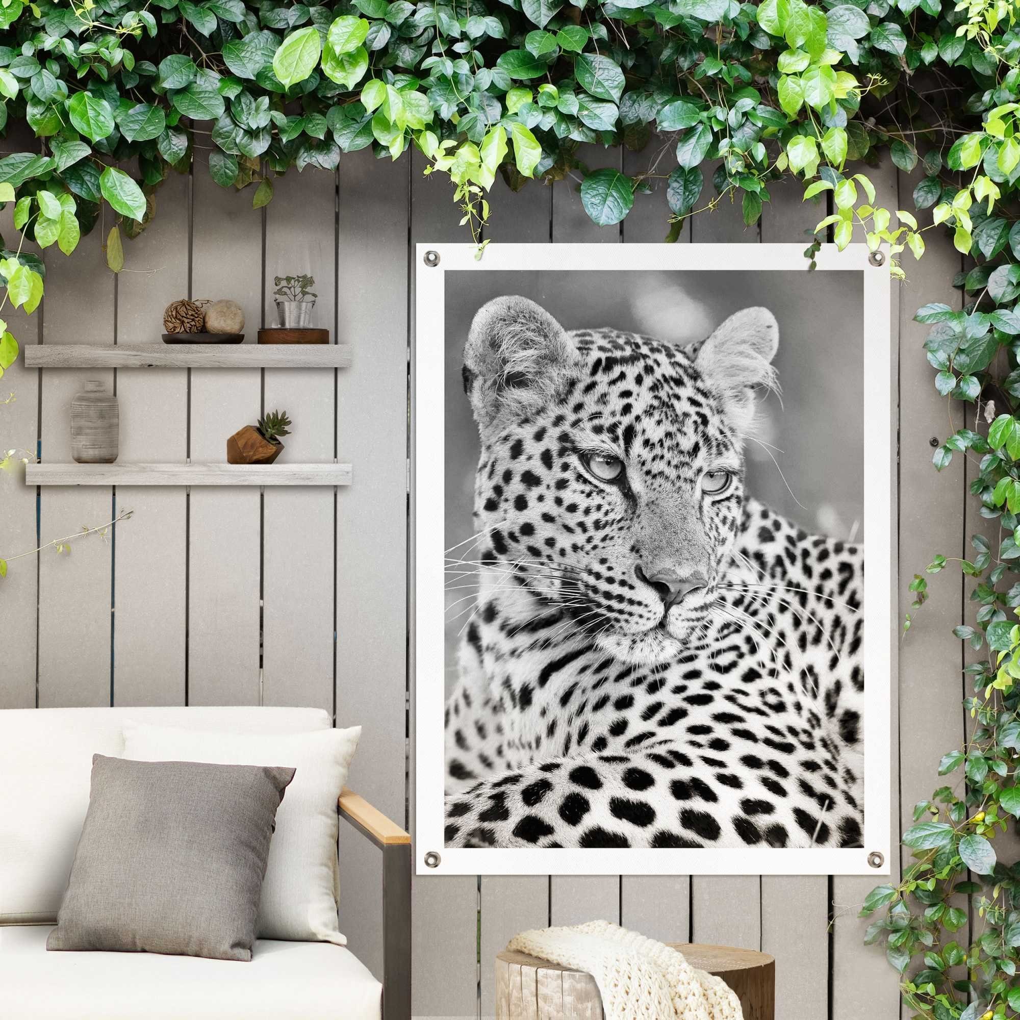 Reinders! Poster Leopard, Outdoor für Garten oder Balkon
