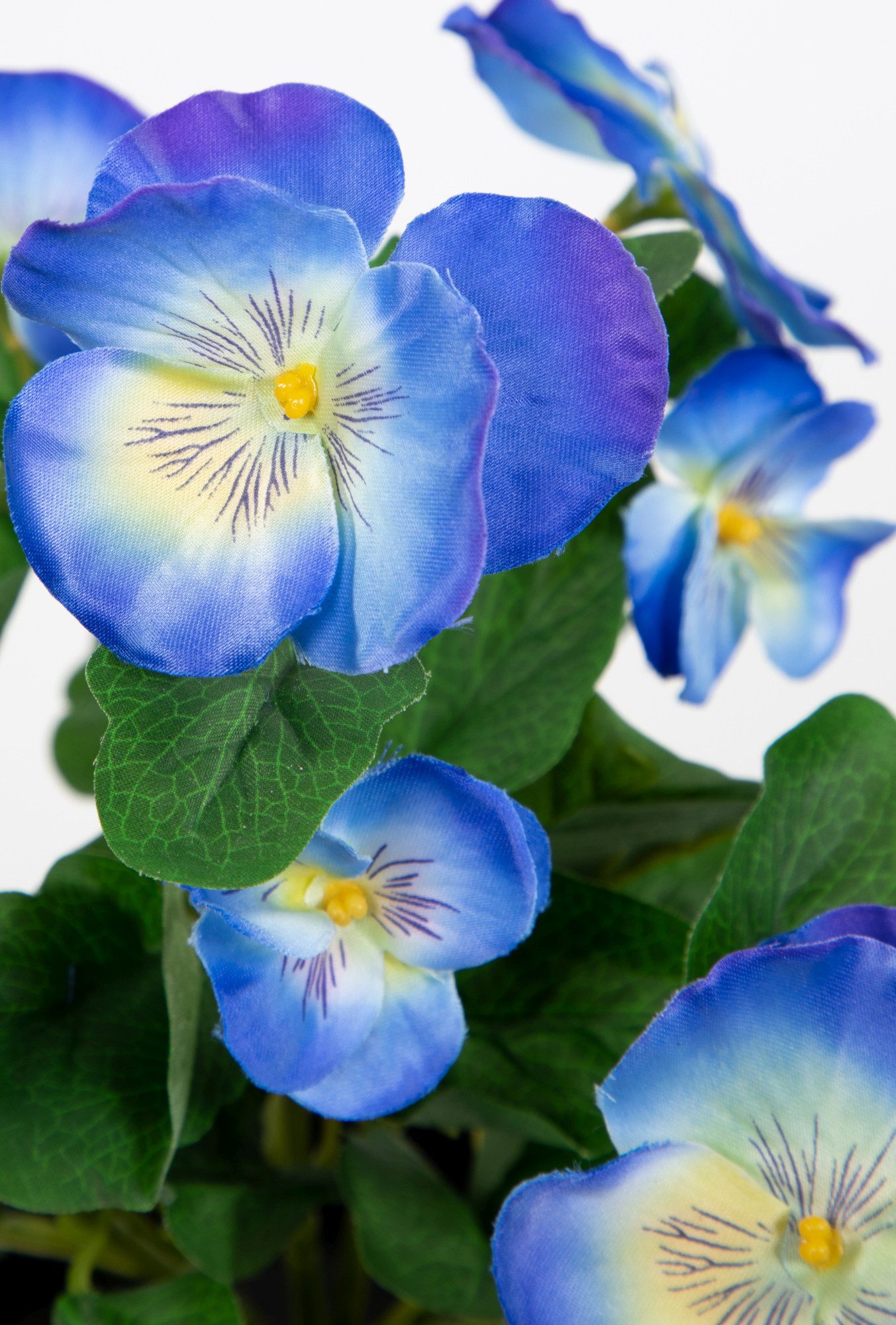 Kunstblume Stiefmütterchen 30cm im Topf FT Kunstpflanzen künstliche Blumen Veilchen, Seidenblumen Roß, Höhe 30 cm, Blau – Bild 4 von 4