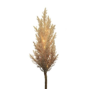 MARELIDA LED-Leuchtzweig LED Zweig Pampasgras Herbstdeko Winterdeko Deko Timer für Innen braun, 12-flammig