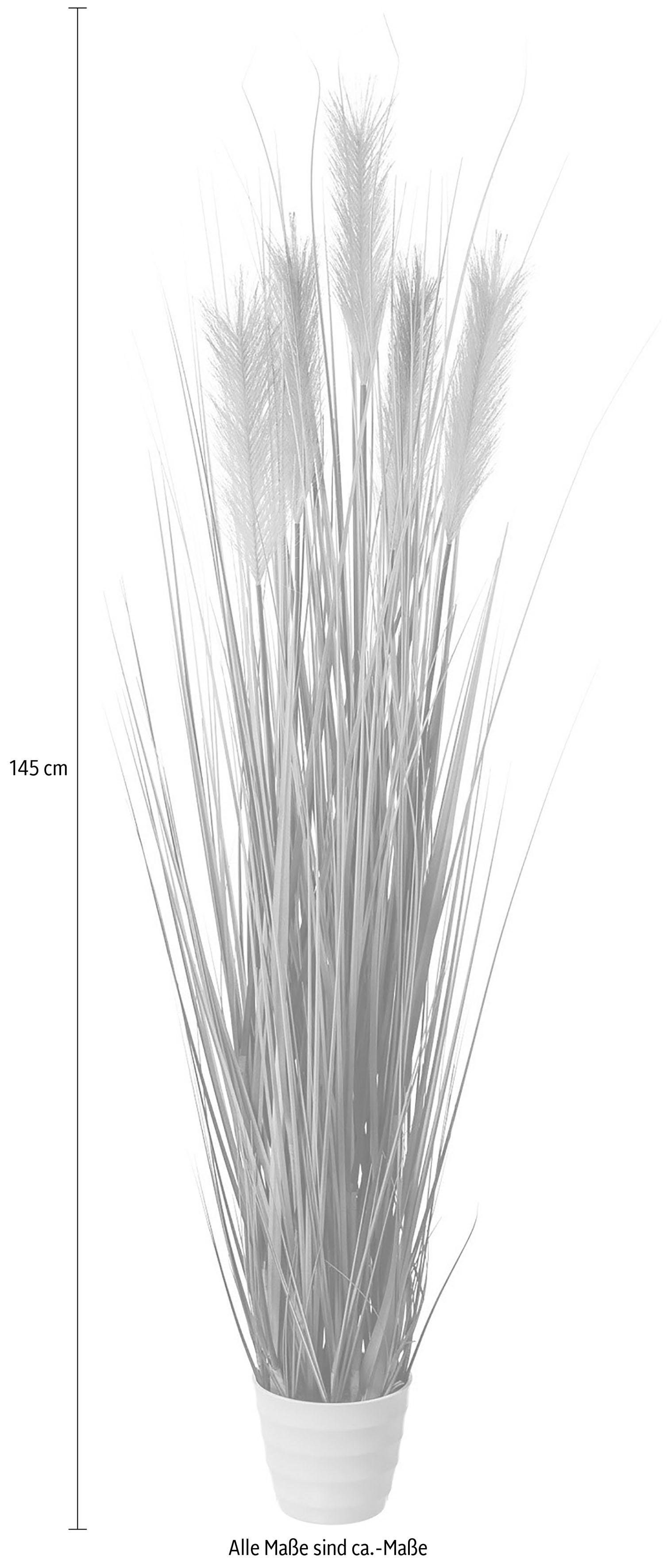 Kunstgras, Creativ green, Höhe 145 cm günstig online kaufen