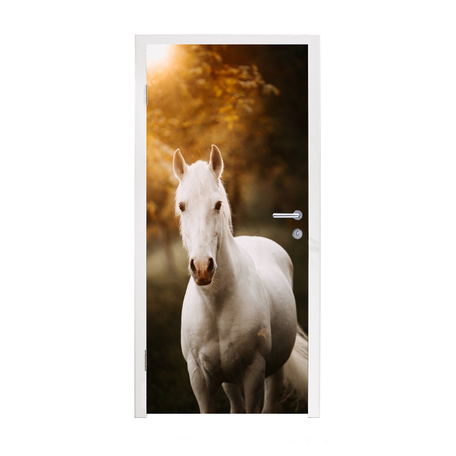 MuchoWow Türtapete Pferd - Licht - Sonne, Matt, bedruckt, (1 St), Fototapete für Tür, Türaufkleber, 75x205 cm