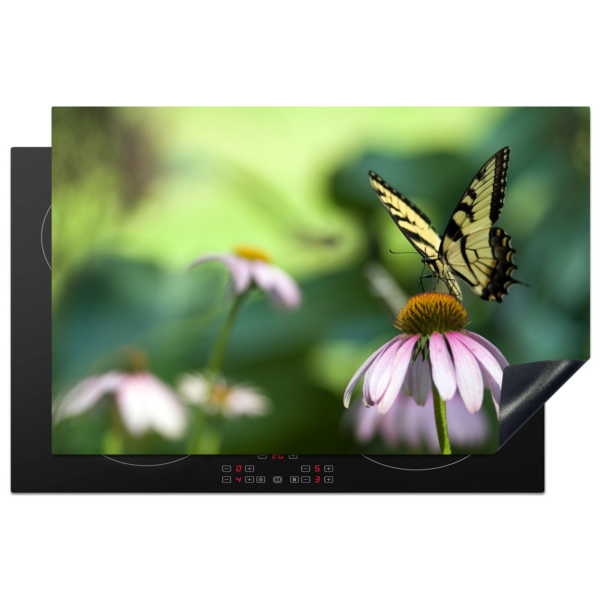 MuchoWow Herdblende-/Abdeckplatte Papilio glaucus Schmetterling auf einer violetten Blüte, Vinyl, (1 tlg), 81x52 cm, Induktionskochfeld Schutz für die küche, Ceranfeldabdeckung | Herdabdeckplatten