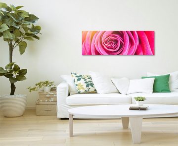 Sinus Art Leinwandbild Naturfotografie  Orange pinke Rosenblüte auf Leinwand exklusives Wandbild moderne Fotografie für ih