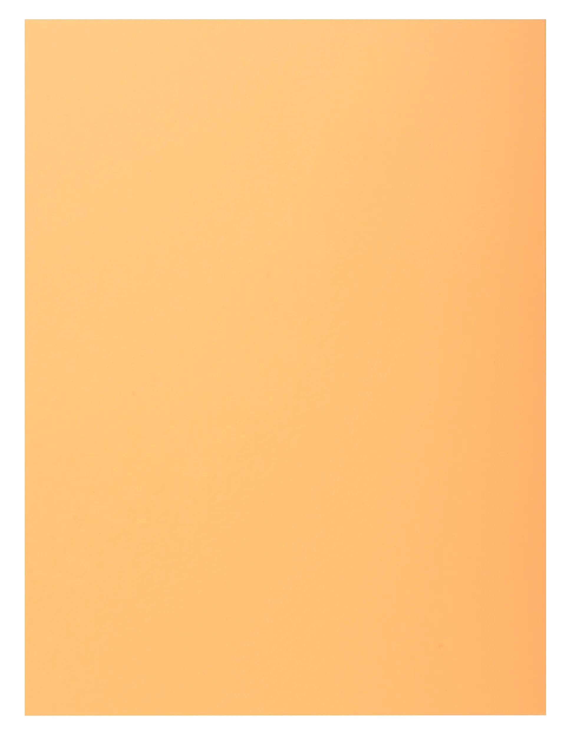 EXACOMPTA Organisationsmappe 5x 50er Sammelmappen SUPER 210 mit eine Klappe - Sand - 339002E, Mappen