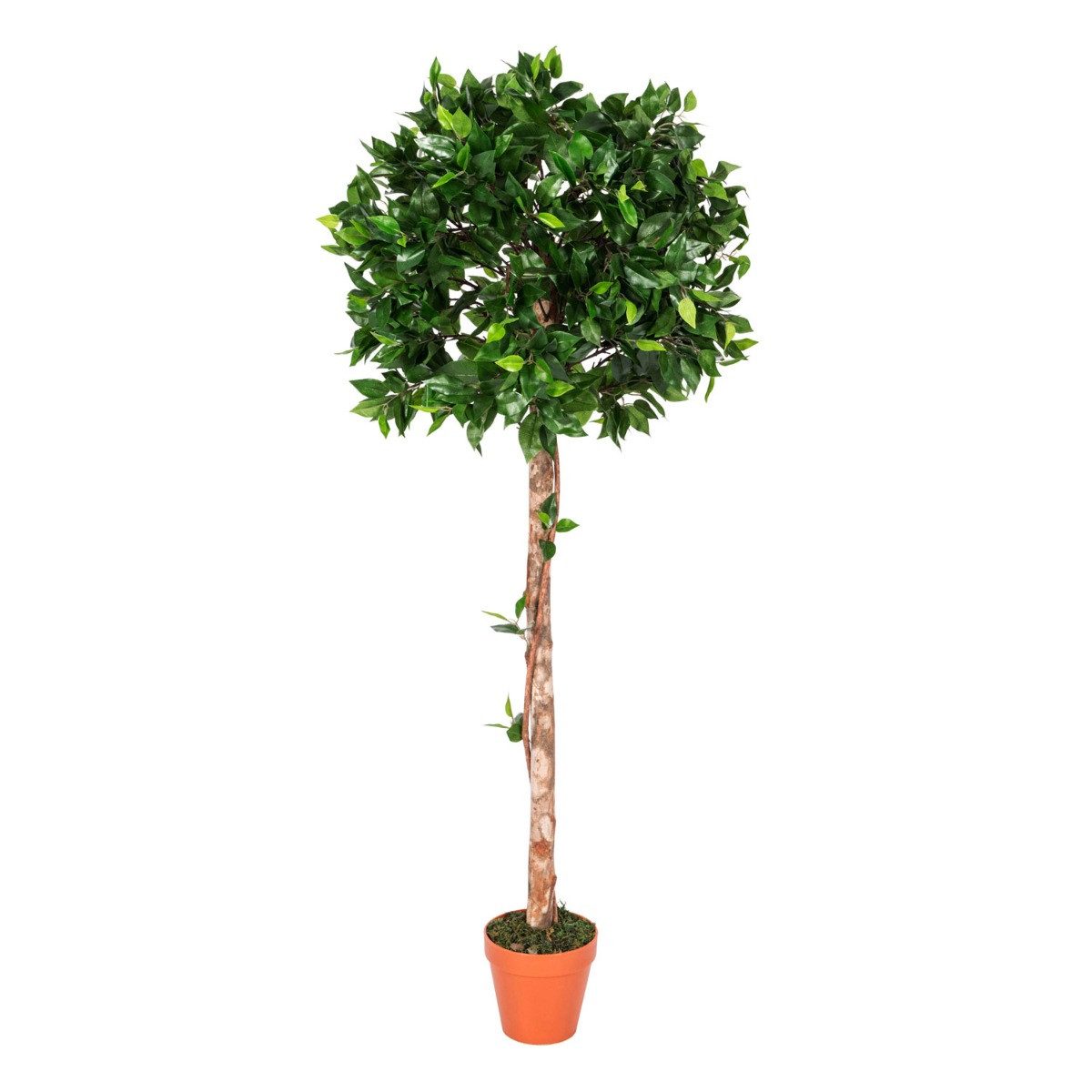 Kunstbaum Kunstpflanze Grün 'Ficus Tropische Zierpflanze' im Topf, 125 cm