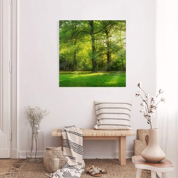 Bilderdepot24 Leinwandbild Kunstdruck Natur Spaziergang Wald grün Bild auf Leinwand Groß XXL, Bild auf Leinwand; Leinwanddruck in vielen Größen