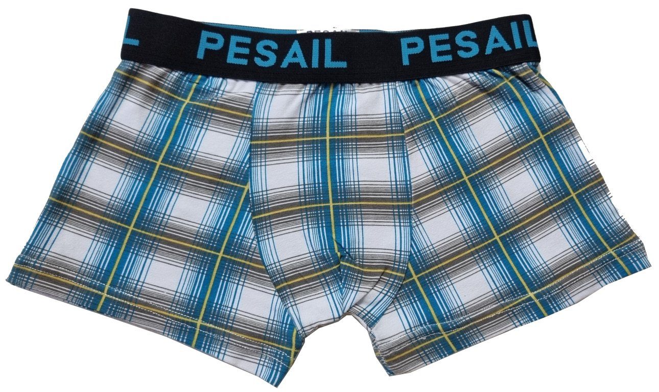 Fashion Boy Boxershorts Boxershorts Pants Unterhosen 6 St. für Jungen JB3090 (6er-Pack)