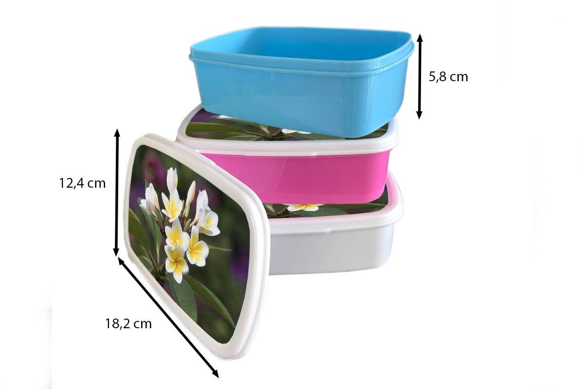 Brotbox MuchoWow (2-tlg), weiße für rosa Plumeria-Blüte, gelbe Kinder, Brotdose Die Erwachsene, Mädchen, Lunchbox Snackbox, Kunststoff Kunststoff, und