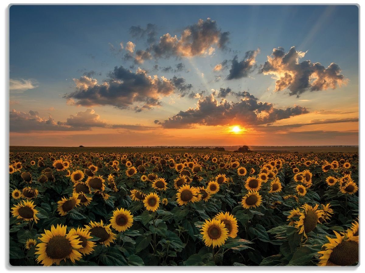 Wallario Schneidebrett Sonnenblumenwiese vor Wolken mit Sonnenuntergang, ESG-Sicherheitsglas, (inkl. rutschfester Gummifüße 4mm, 1-St), 30x40cm | Schneidebretter
