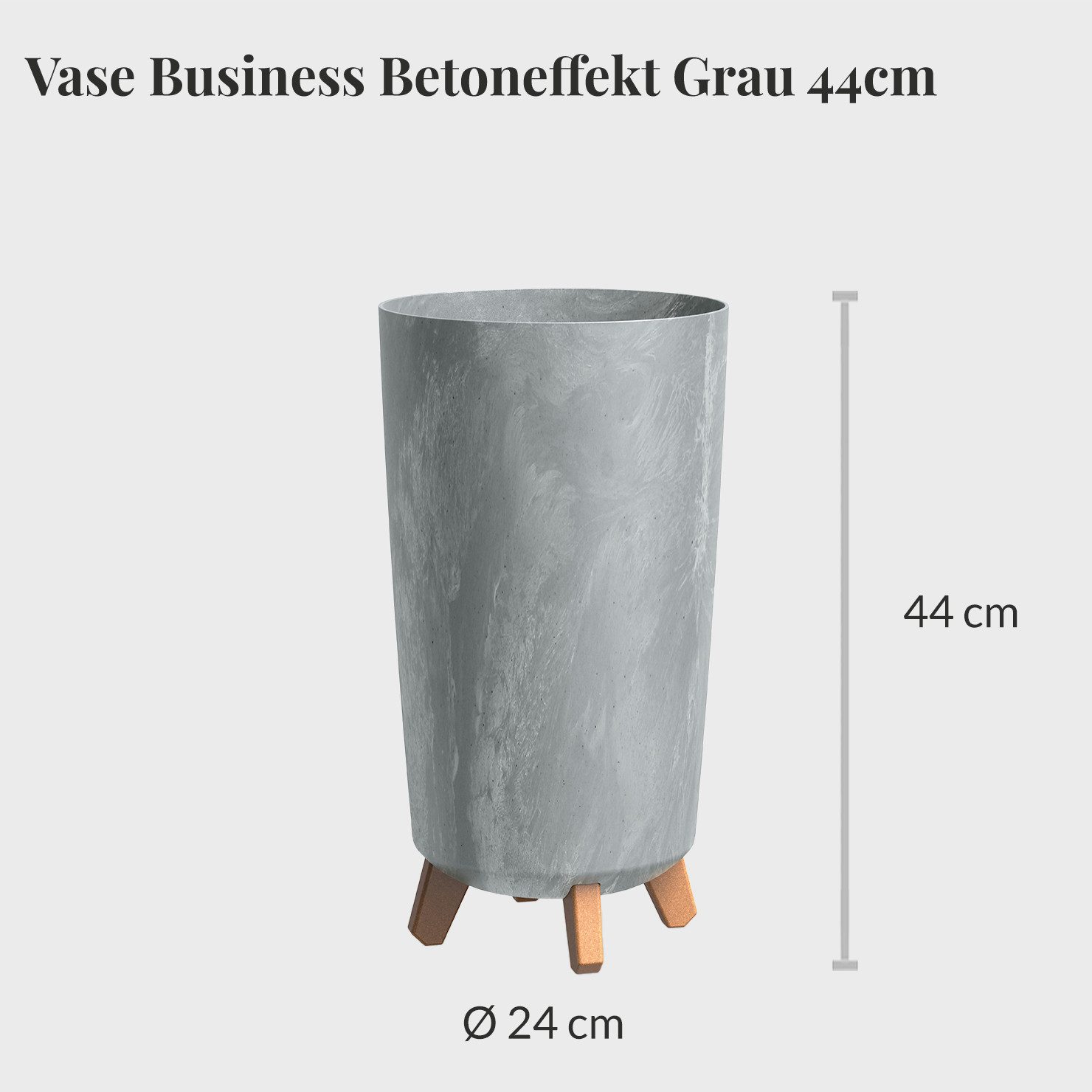Green Me Up Zimmerpflanze Büropflanzen Afrikanischer Feigenbaum - Ficus cyathistipula, inkl. 10L Blähton, Wasserstandsanzeiger & Langzeitdünger