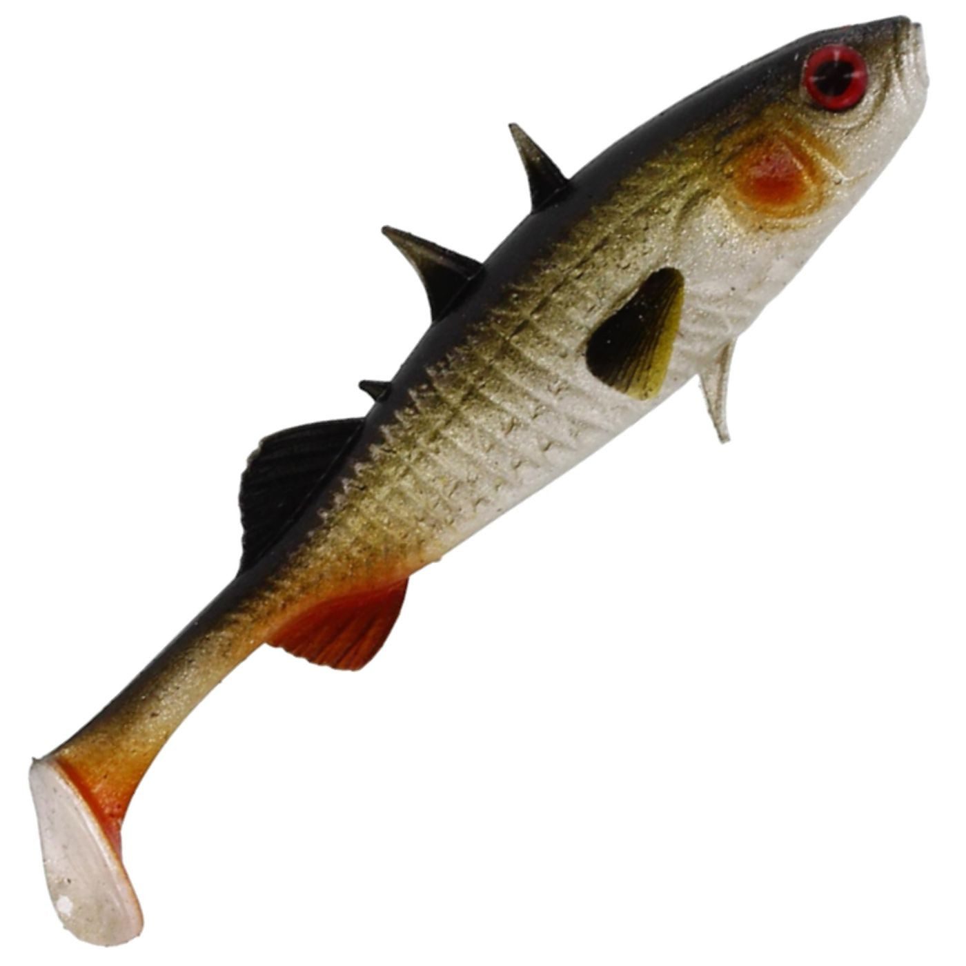 Lively Roach