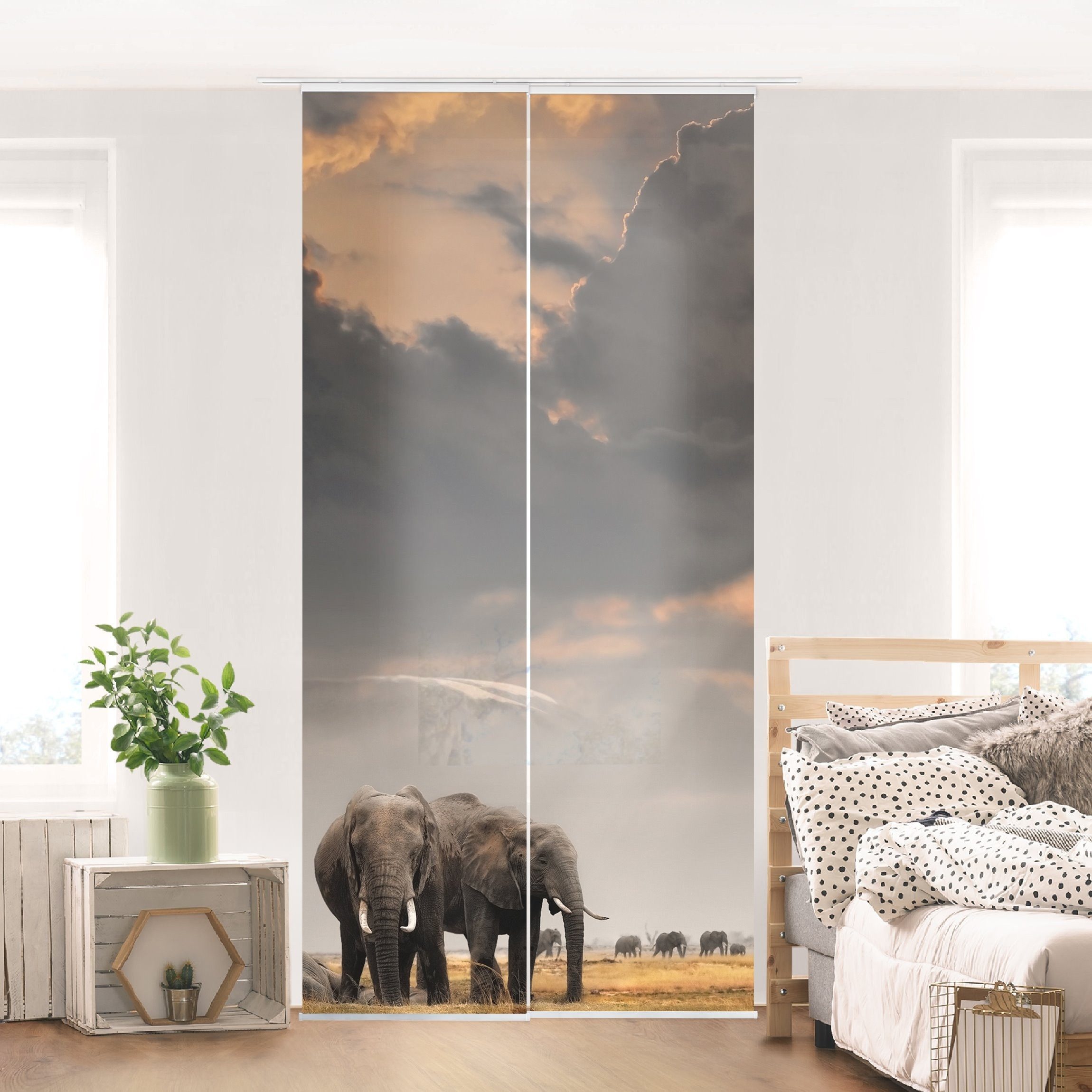 Bilderdepot24 Schiebegardine modern Flächenvorhang blickdicht Elefanten günstig online kaufen