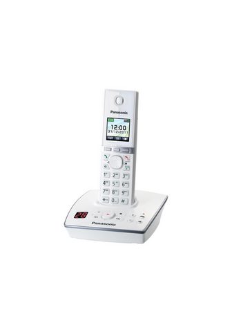 PANASONIC »KX-TG8061G« беспроводный ...