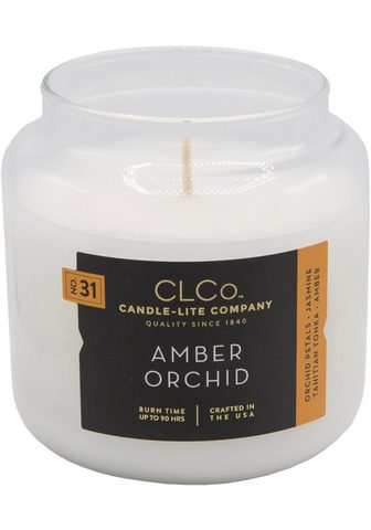 CANDLE-LITE? ? Свеча "No. 31 CLCo - Amber Orch...