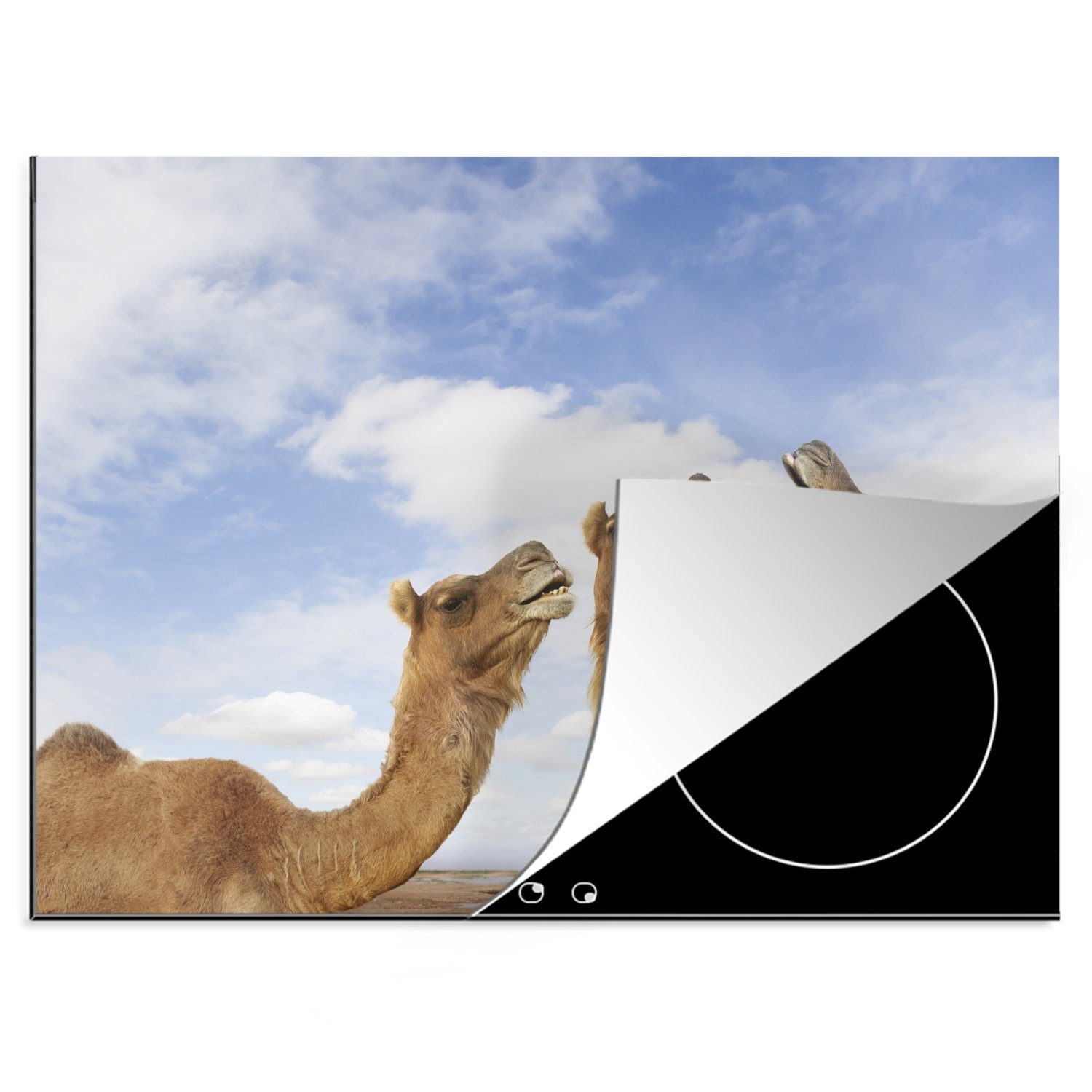 MuchoWow Herdblende-/Abdeckplatte Kamele Arbeitsfläche Vinyl, cm, Ceranfeldabdeckung Indien, nutzbar, Mobile (1 tlg), in 70x52