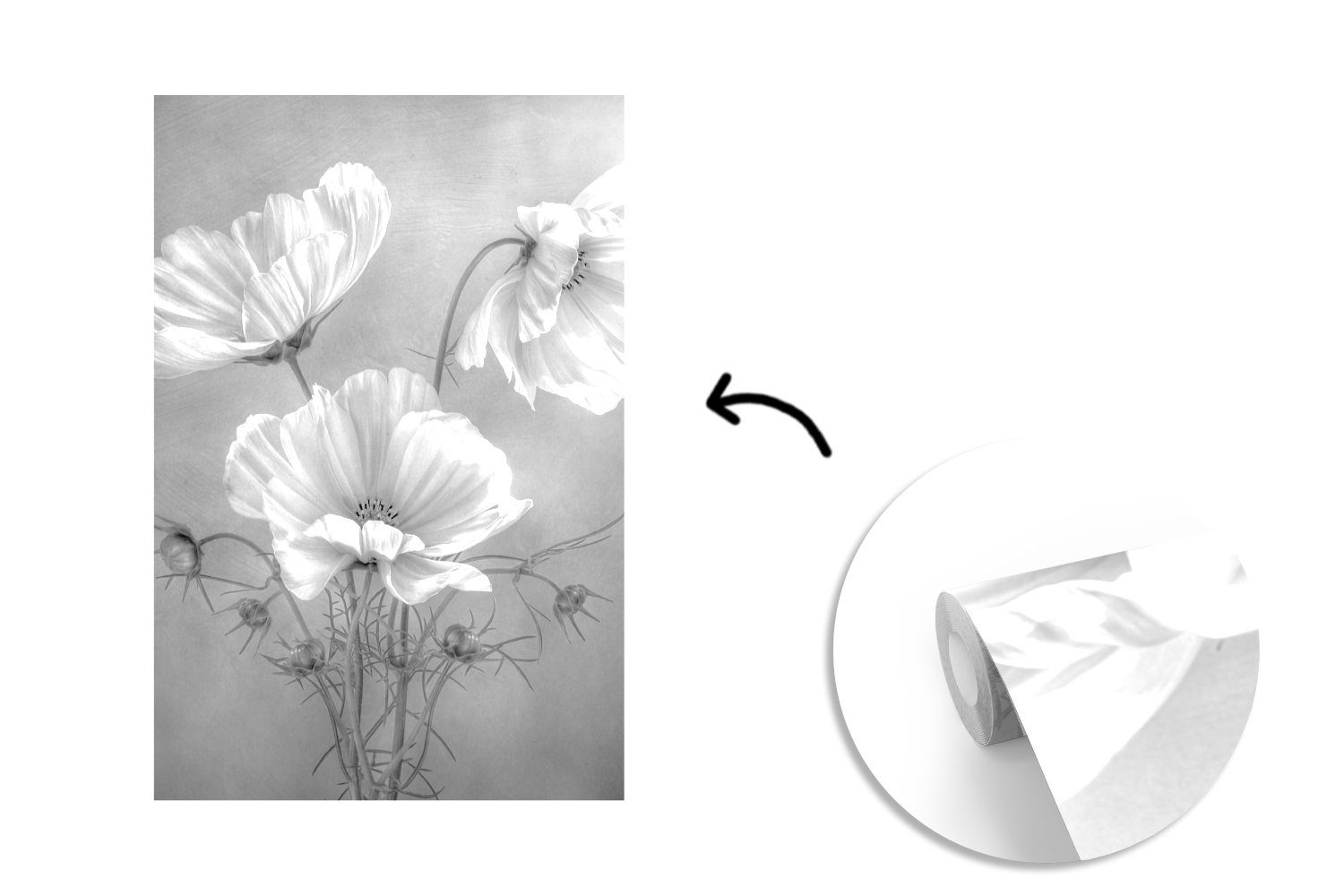 Blumen für Schwarz Vinyl und - bedruckt, Stilleben - Mohn - (3 St), Wohnzimmer, Wandtapete Tapete Montagefertig Fototapete MuchoWow - Matt, Botanisch, weiß
