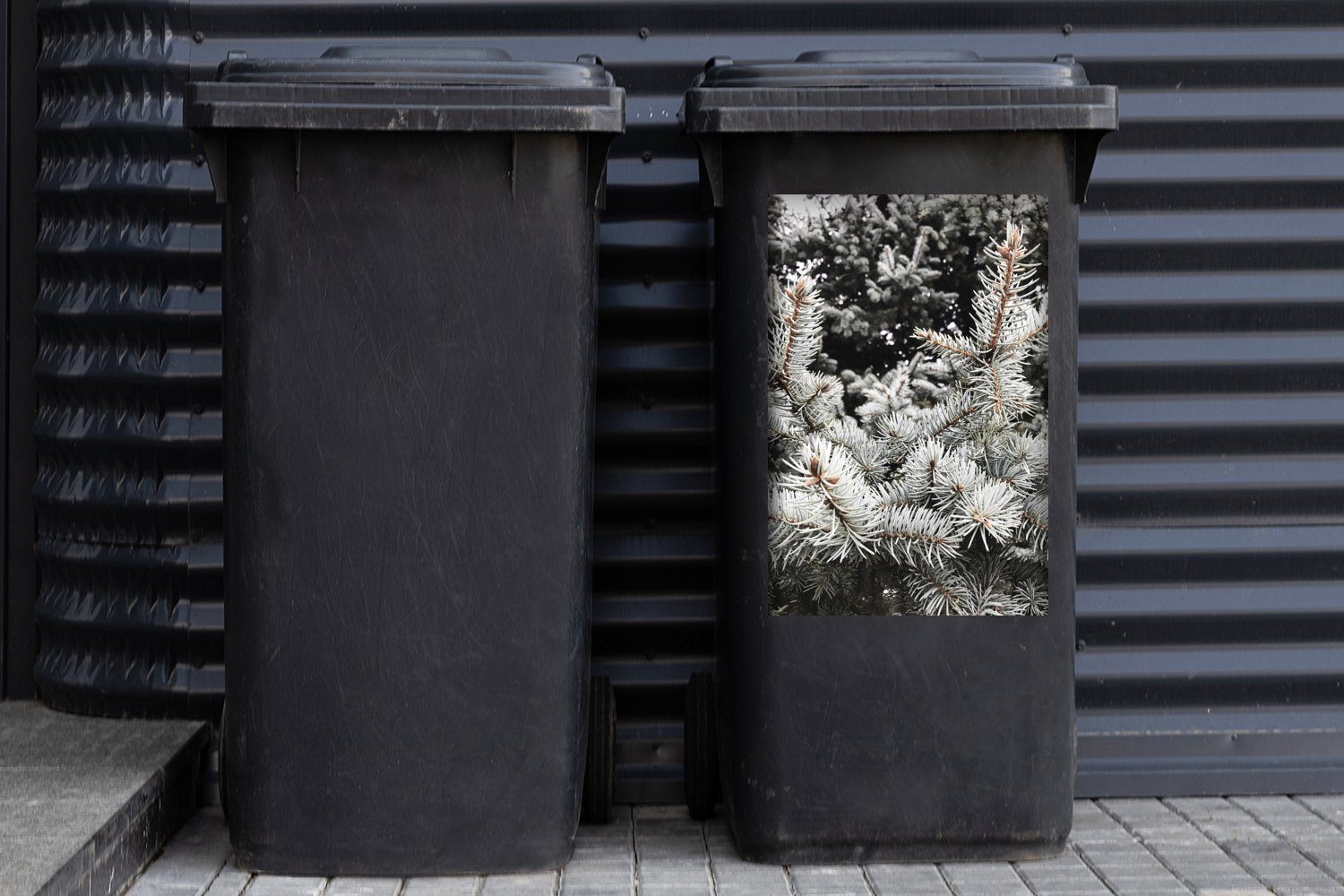Winter (1 St), Abfalbehälter - Container, Wandsticker Äste MuchoWow - Mülltonne, Mülleimer-aufkleber, Sticker, Baum