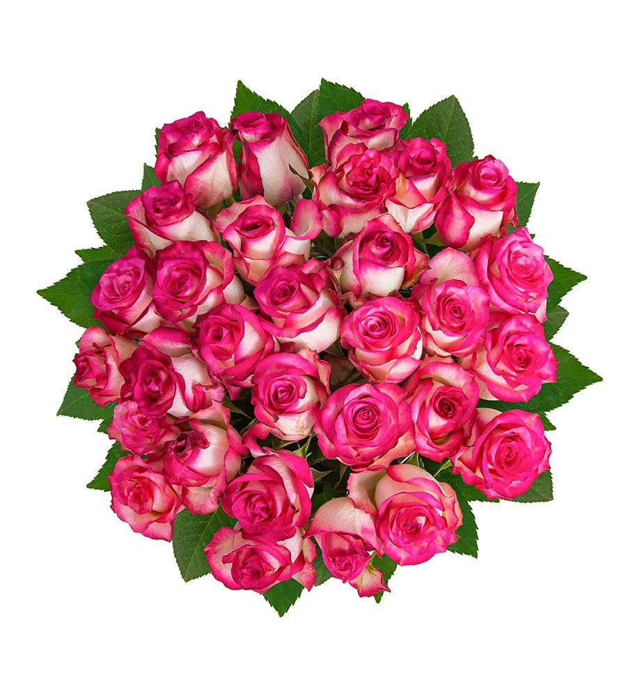 FLOWRFRAME Blumenstrauß, 30 frische Rosen mit XL ...
