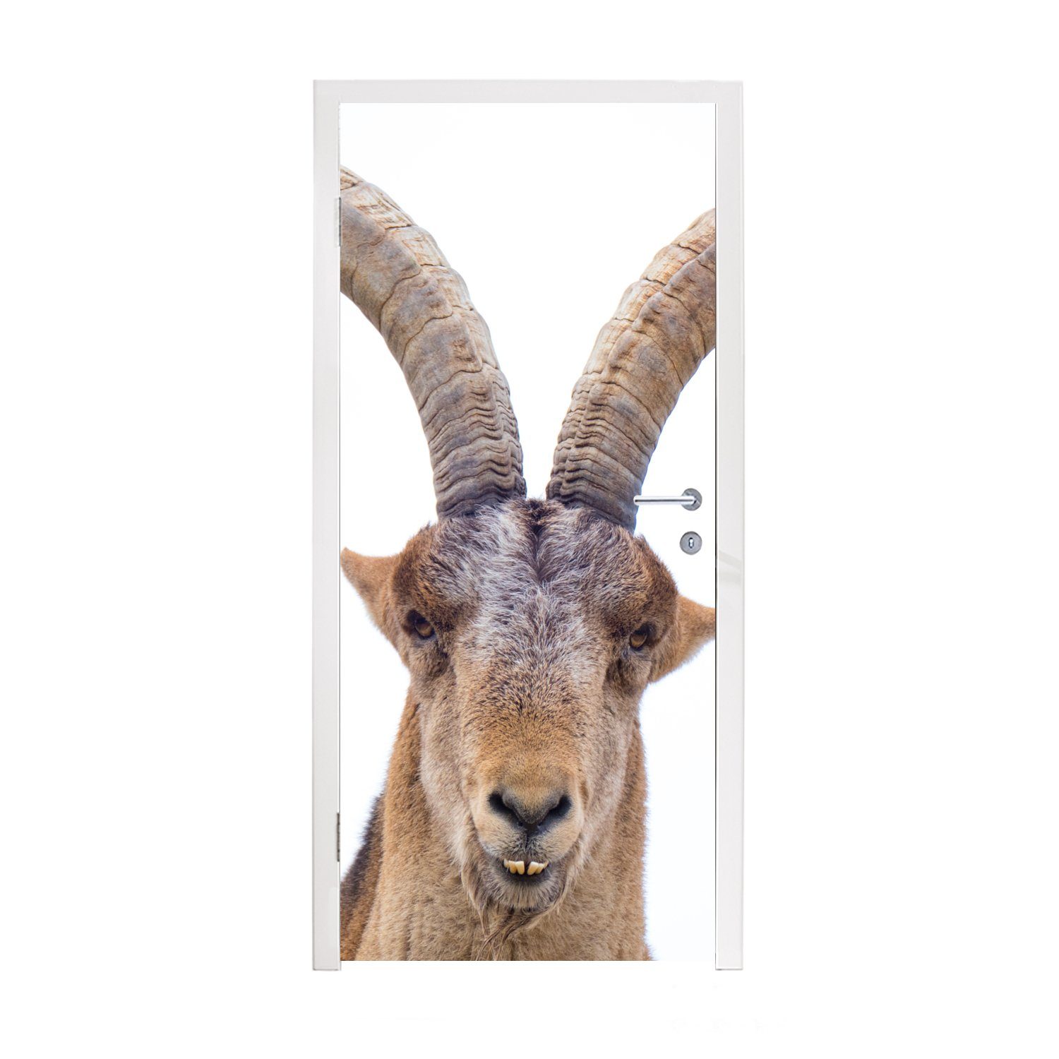 MuchoWow Türtapete Steinbock - Tiere - Hoorn, Matt, bedruckt, (1 St), Fototapete für Tür, Türaufkleber, 75x205 cm