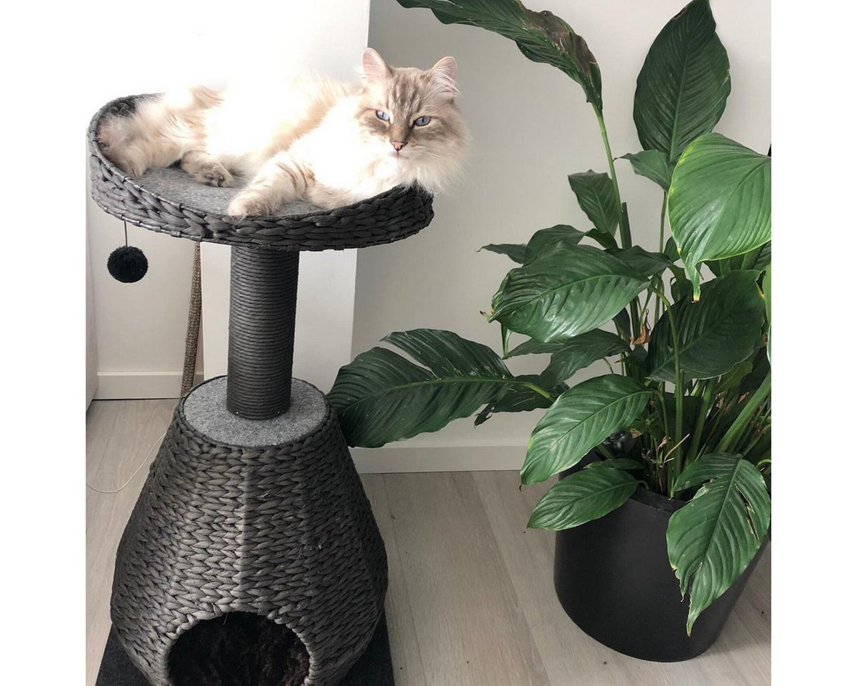 Thumbnail - Europet-Bernina Kratzbaum Kratzbaum Trend Elegance Sublime schwarz