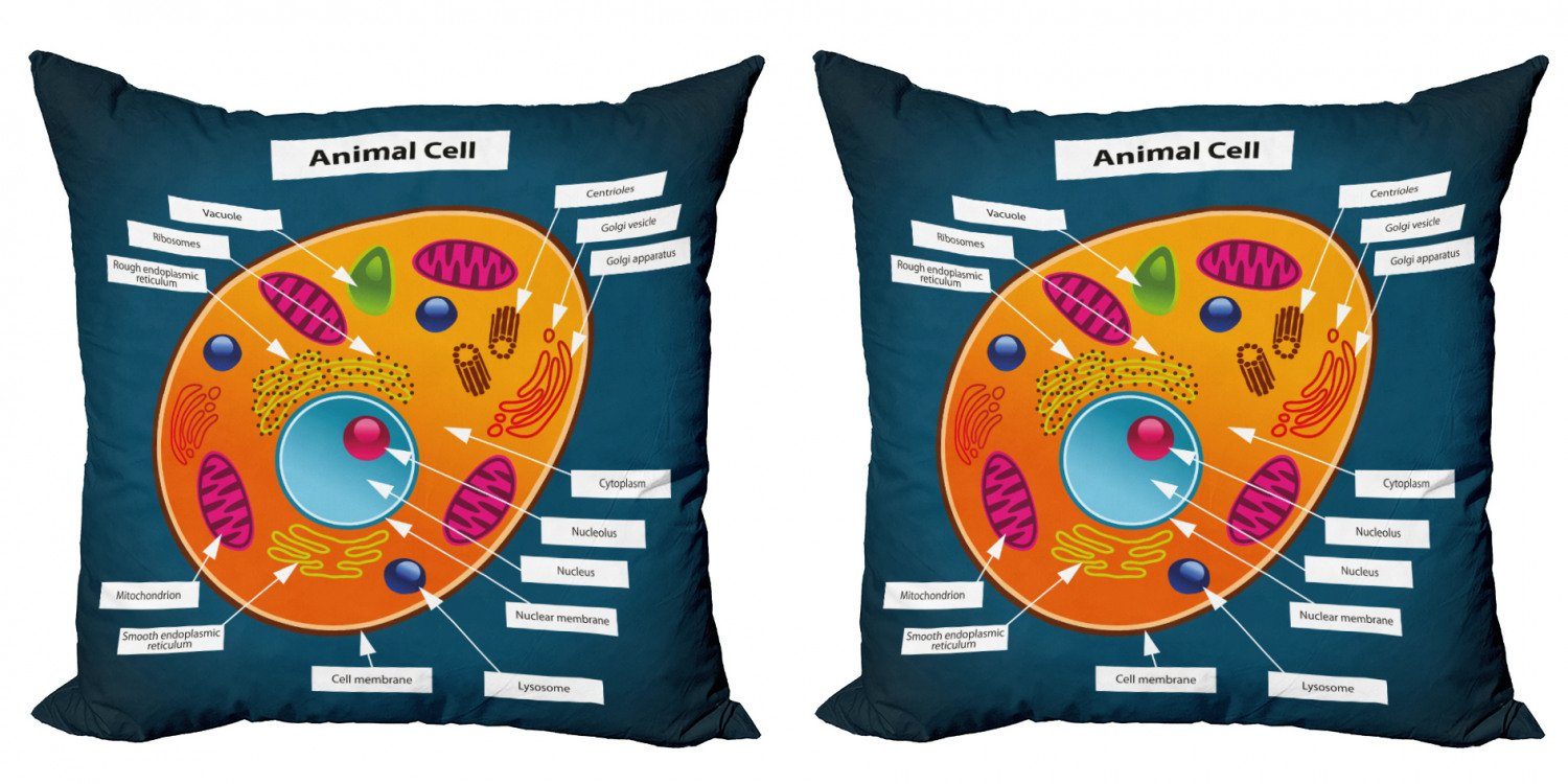 der Lehrreich Digitaldruck, in Doppelseitiger Abakuhaus Accent (2 Stück), Modern Schule Kissenbezüge Wissenschaft