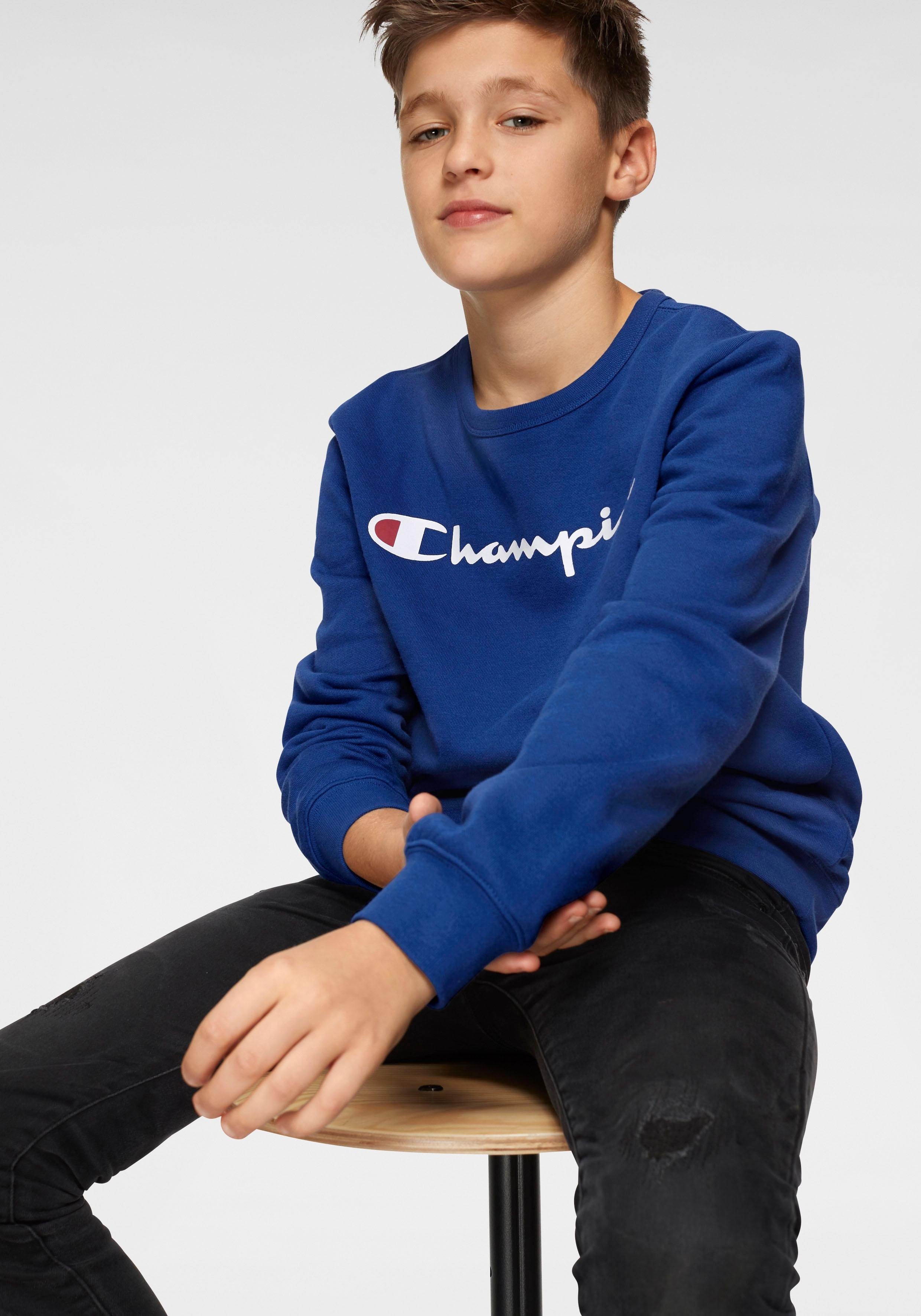champion sweatshirt sneaks up